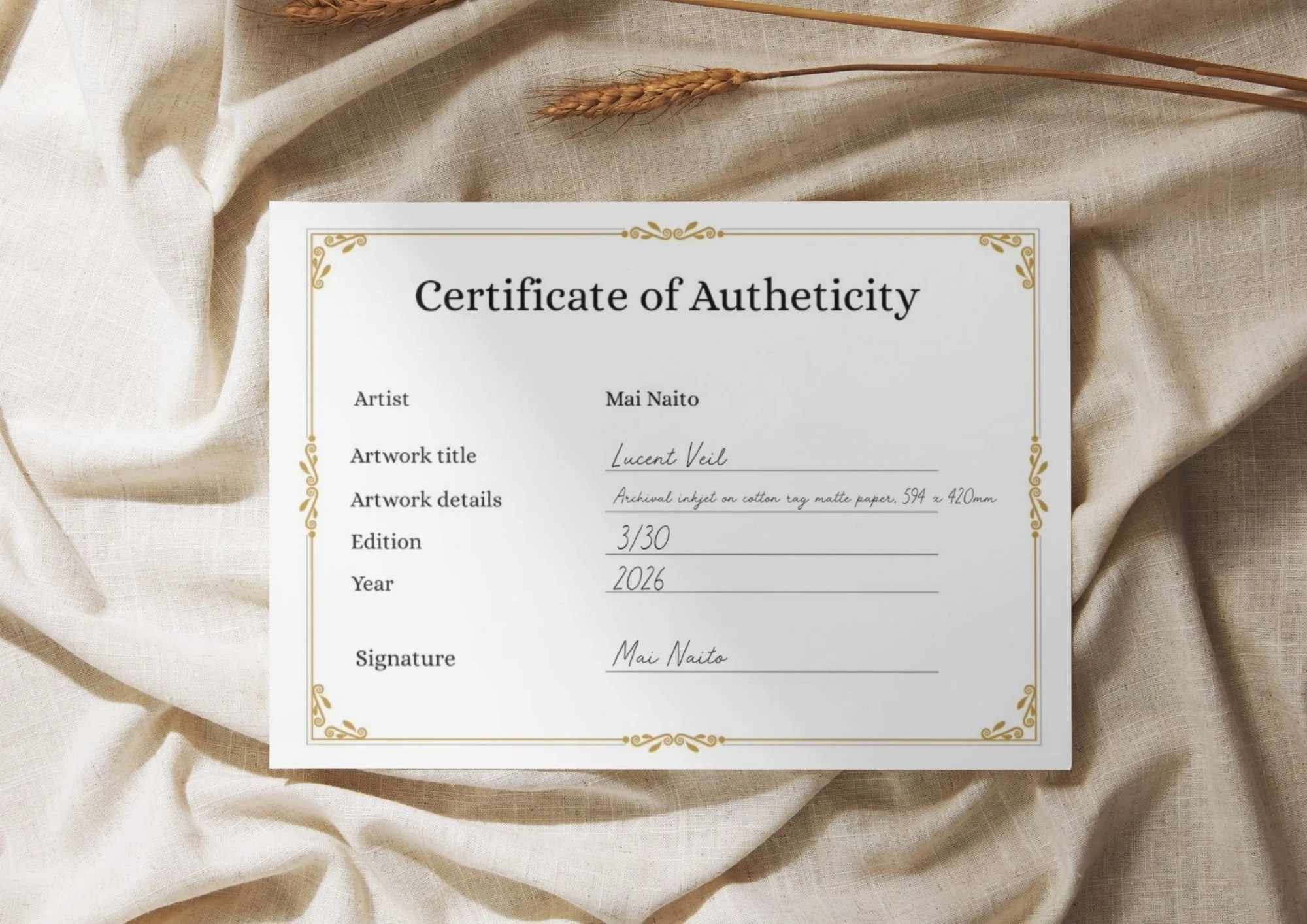 Copy of Untitled Design.jpg