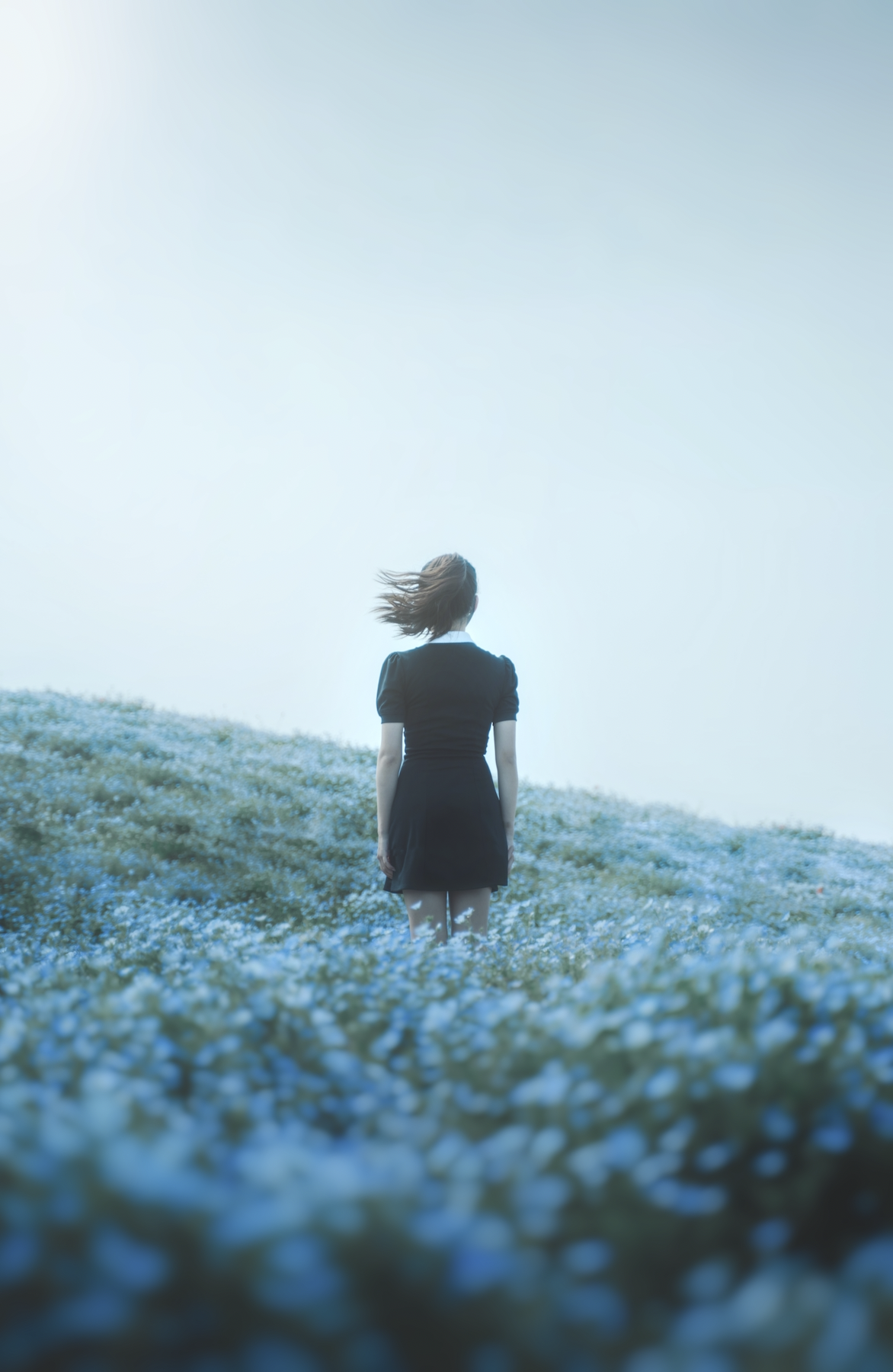 Screen Shot 2023-08-27 at 15.33.39.png