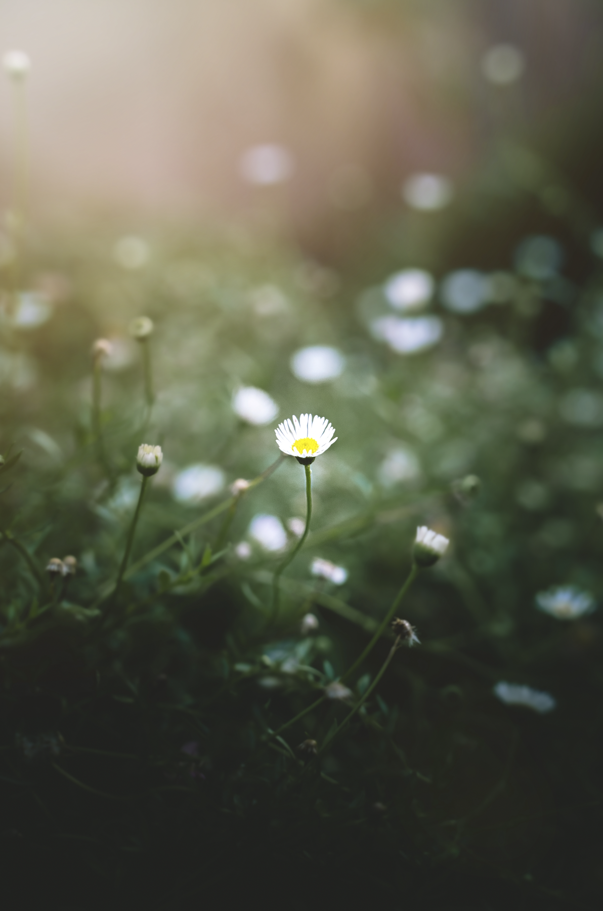 Screen Shot 2023-09-21 at 15.50.18.png