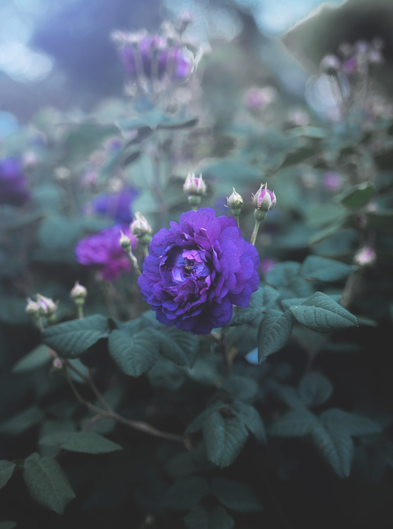 Screen Shot 2023-08-27 at 15.35.37.png