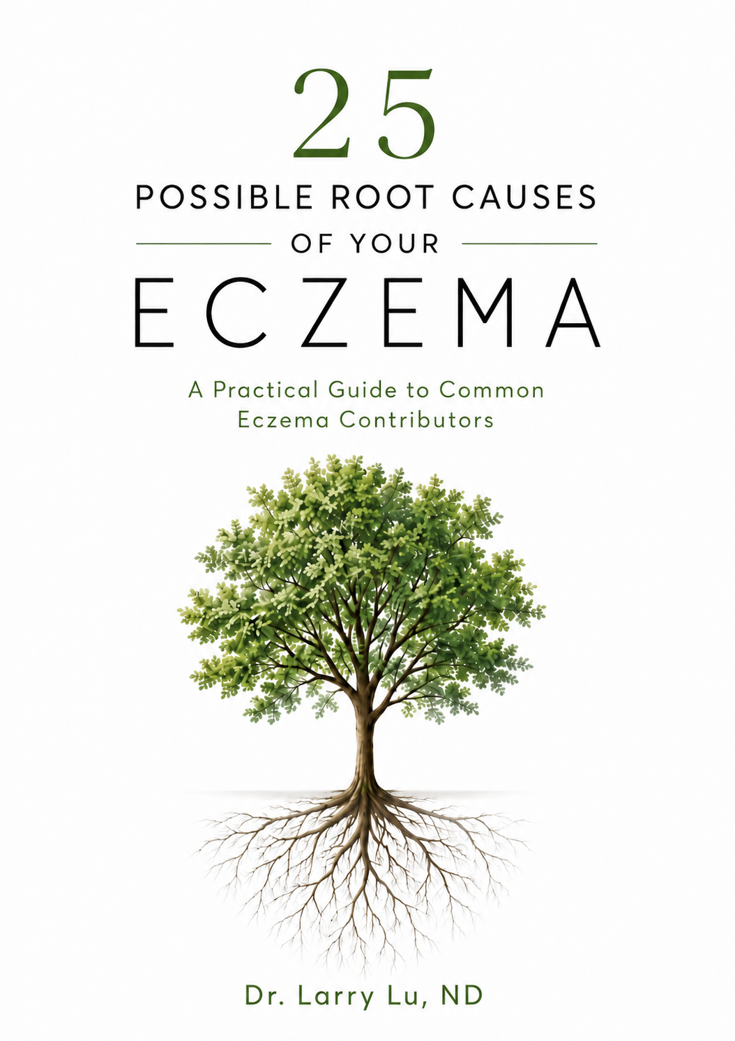 EBOOK COVER.png