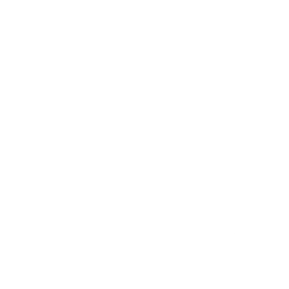 White Puma Cat Logo