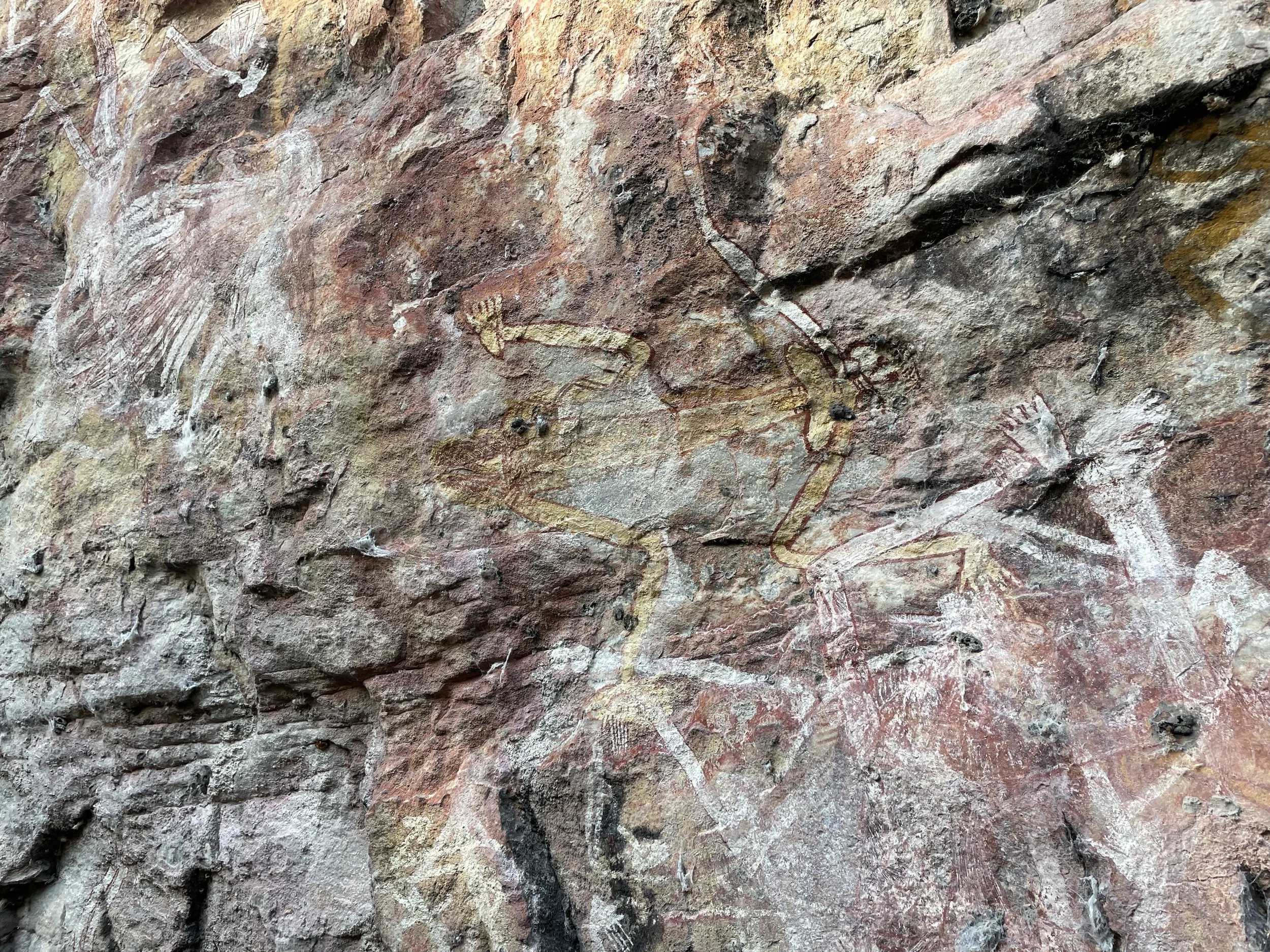 Ancient art. An art safari to Arnhem Land.