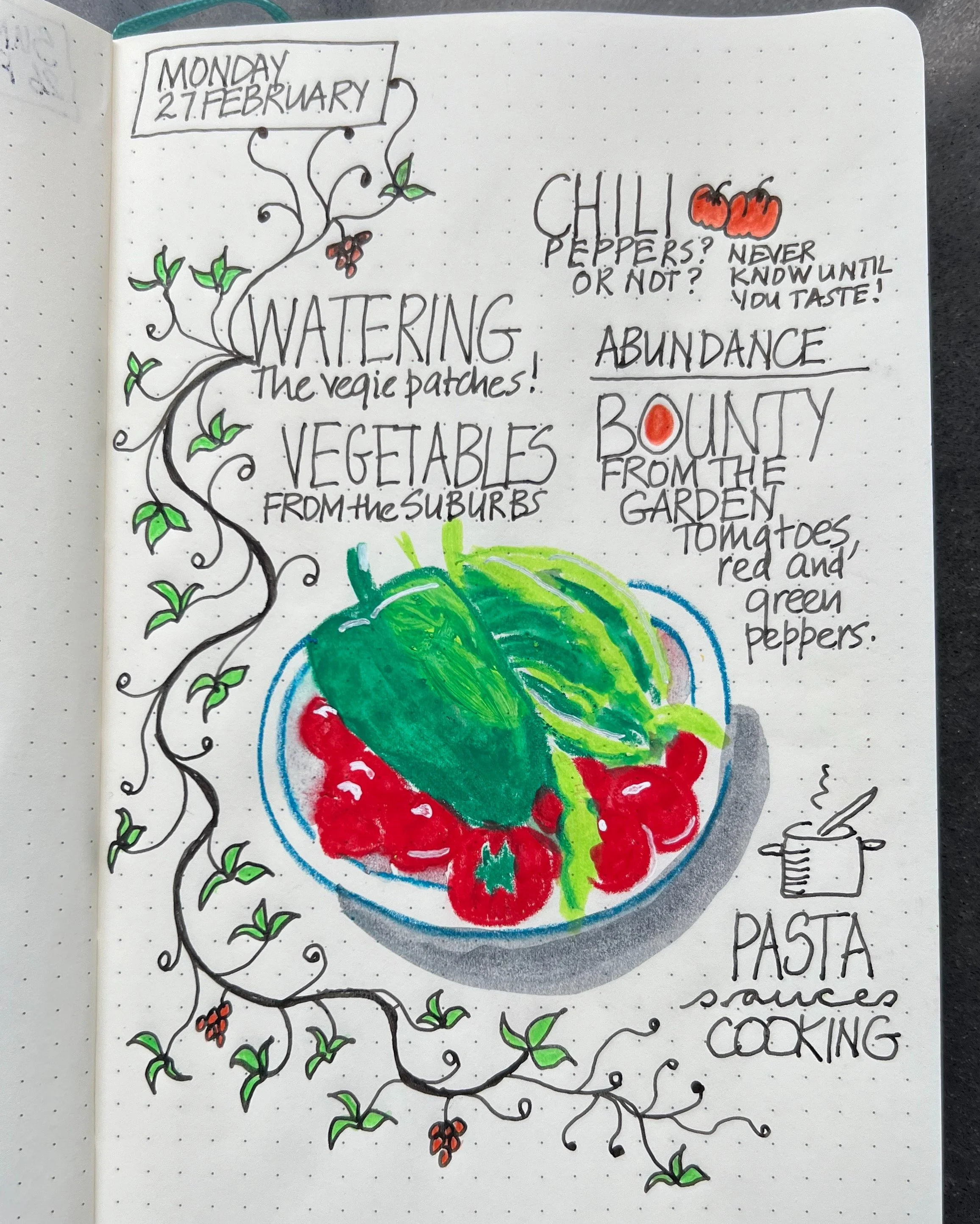 Vegetables from our garden