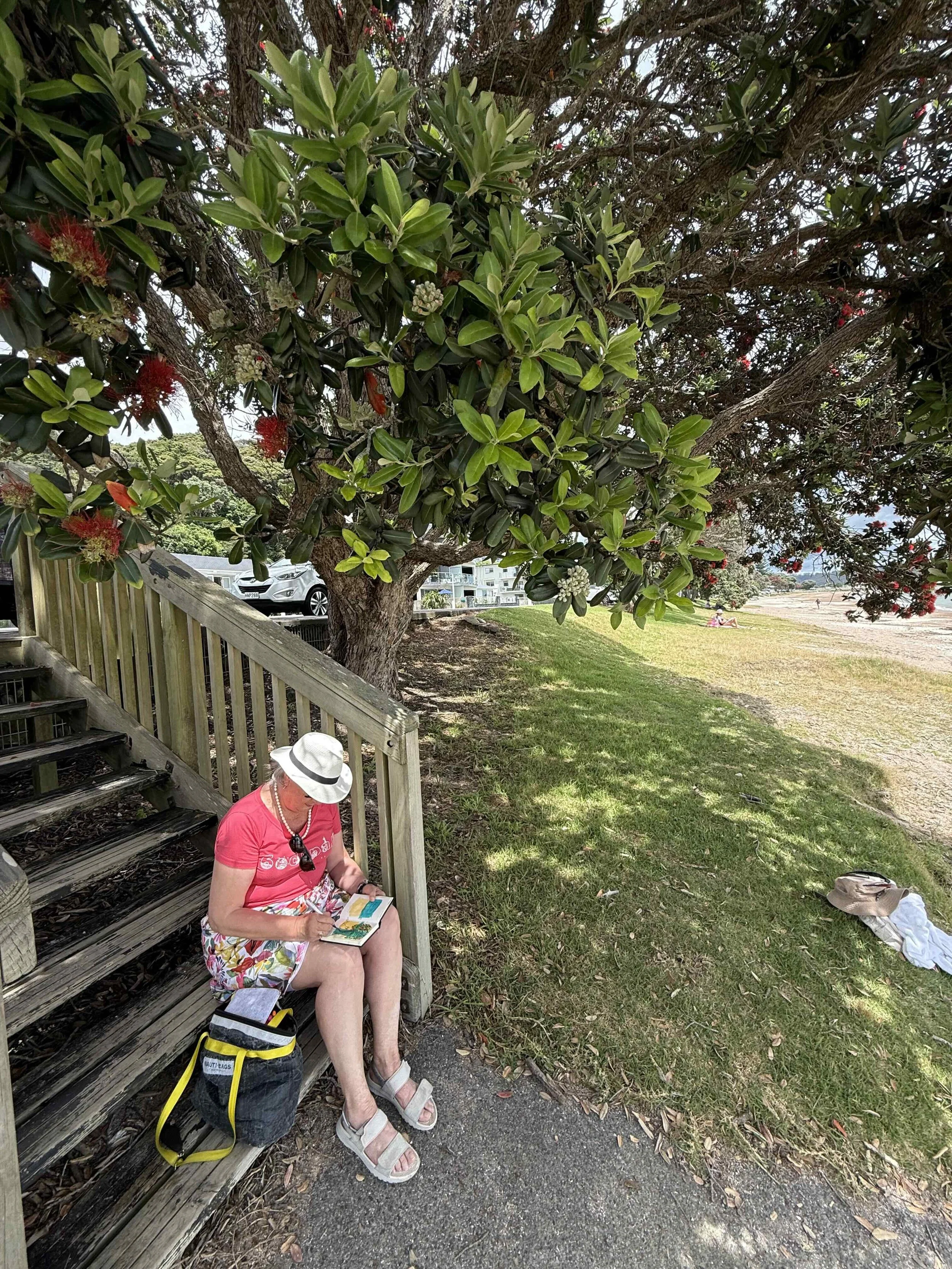 NZ.jpg