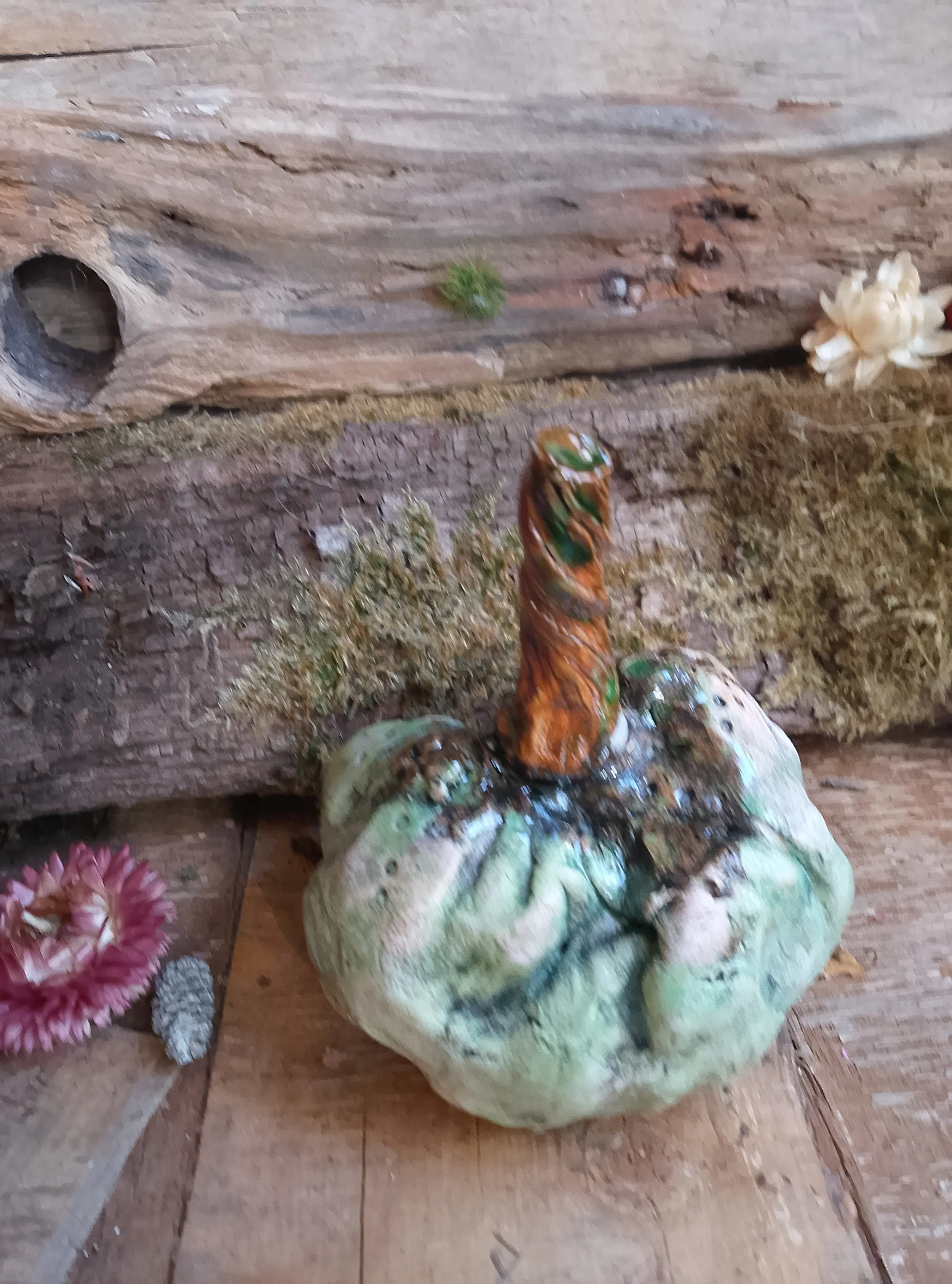 Pumpkins '26!!!! whooooo wooooo  no9 apple green