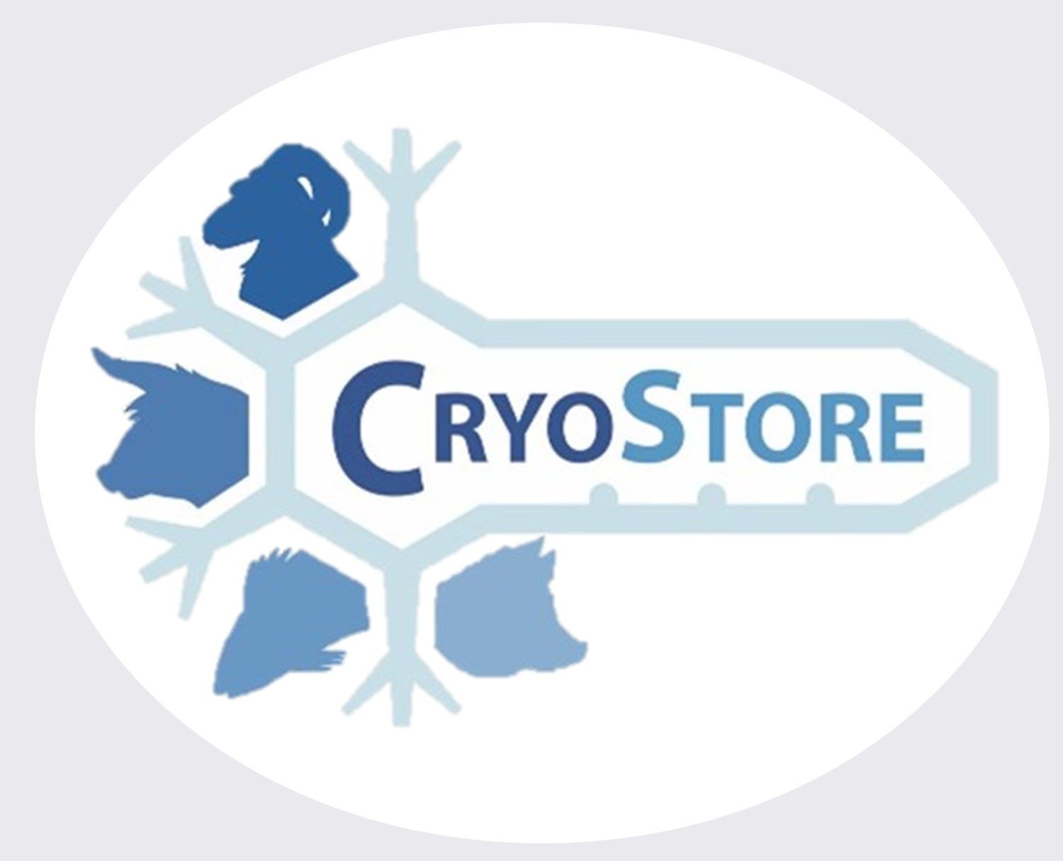 CryoStore Project