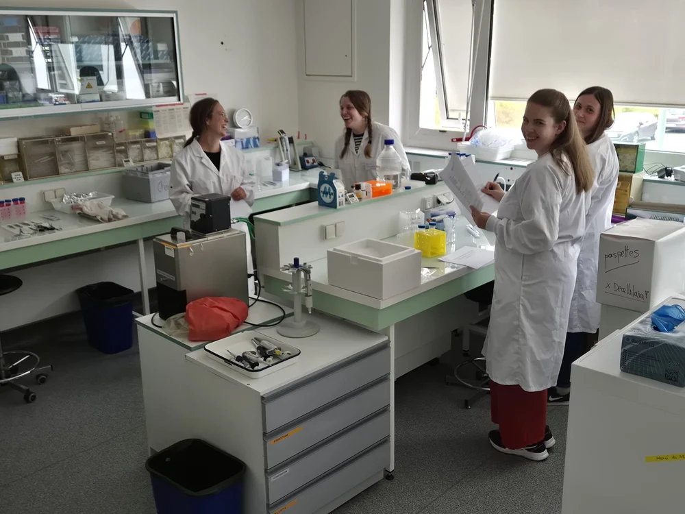 WhatsApp Image 2025-07-02 at 20.58.15.jpeg