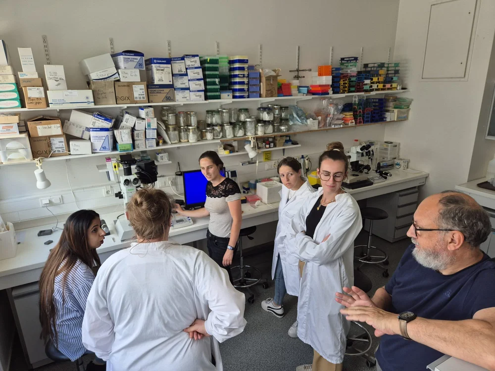 WhatsApp Image 2025-07-03 at 16.04.28.jpeg