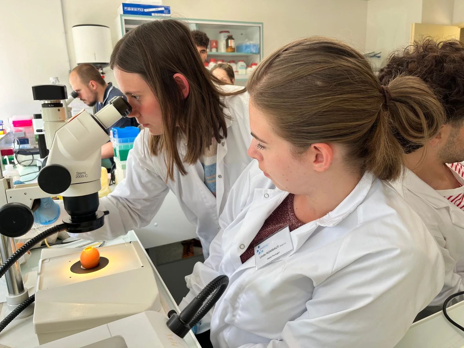 WhatsApp Image 2025-07-08 at 16.01.45 (4).jpeg