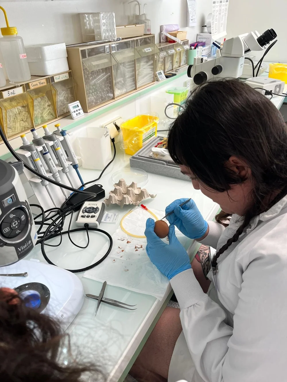 WhatsApp Image 2025-07-08 at 16.01.45.jpeg