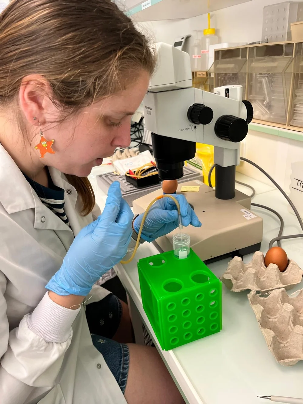 WhatsApp Image 2025-07-08 at 16.01.44.jpeg