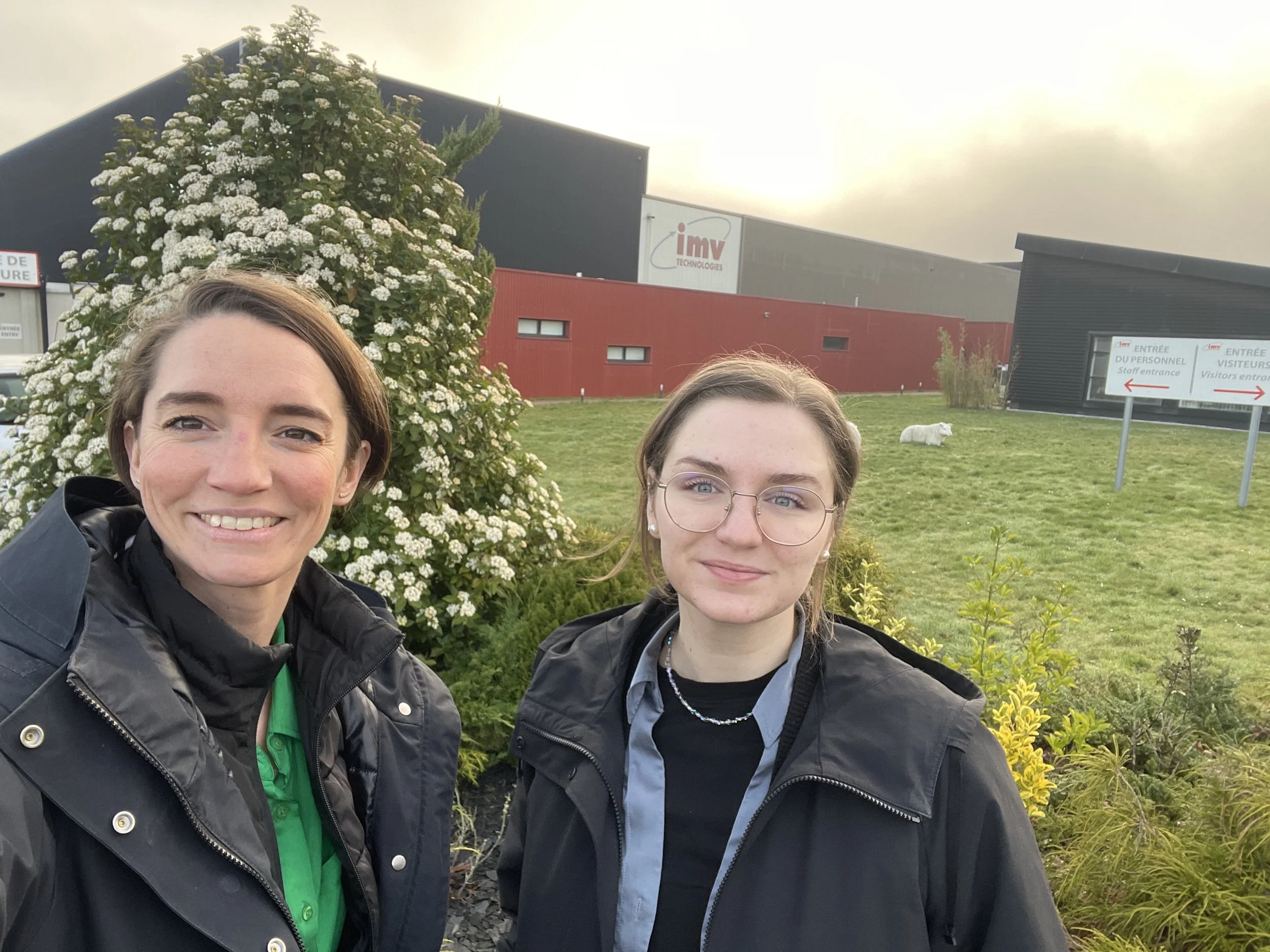 CryoStore diary - Oleksandra Hubenia