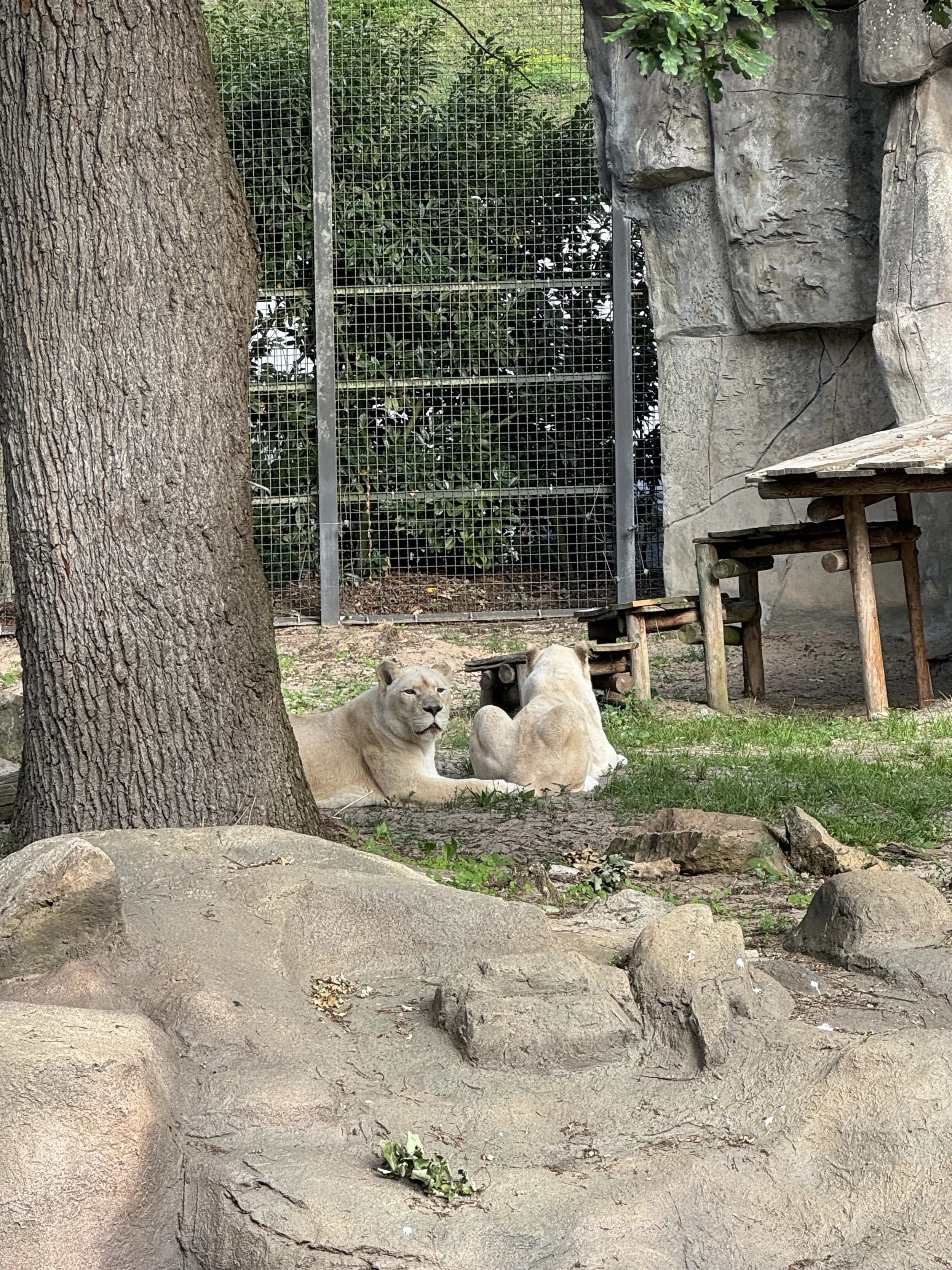 zoo2.jpg