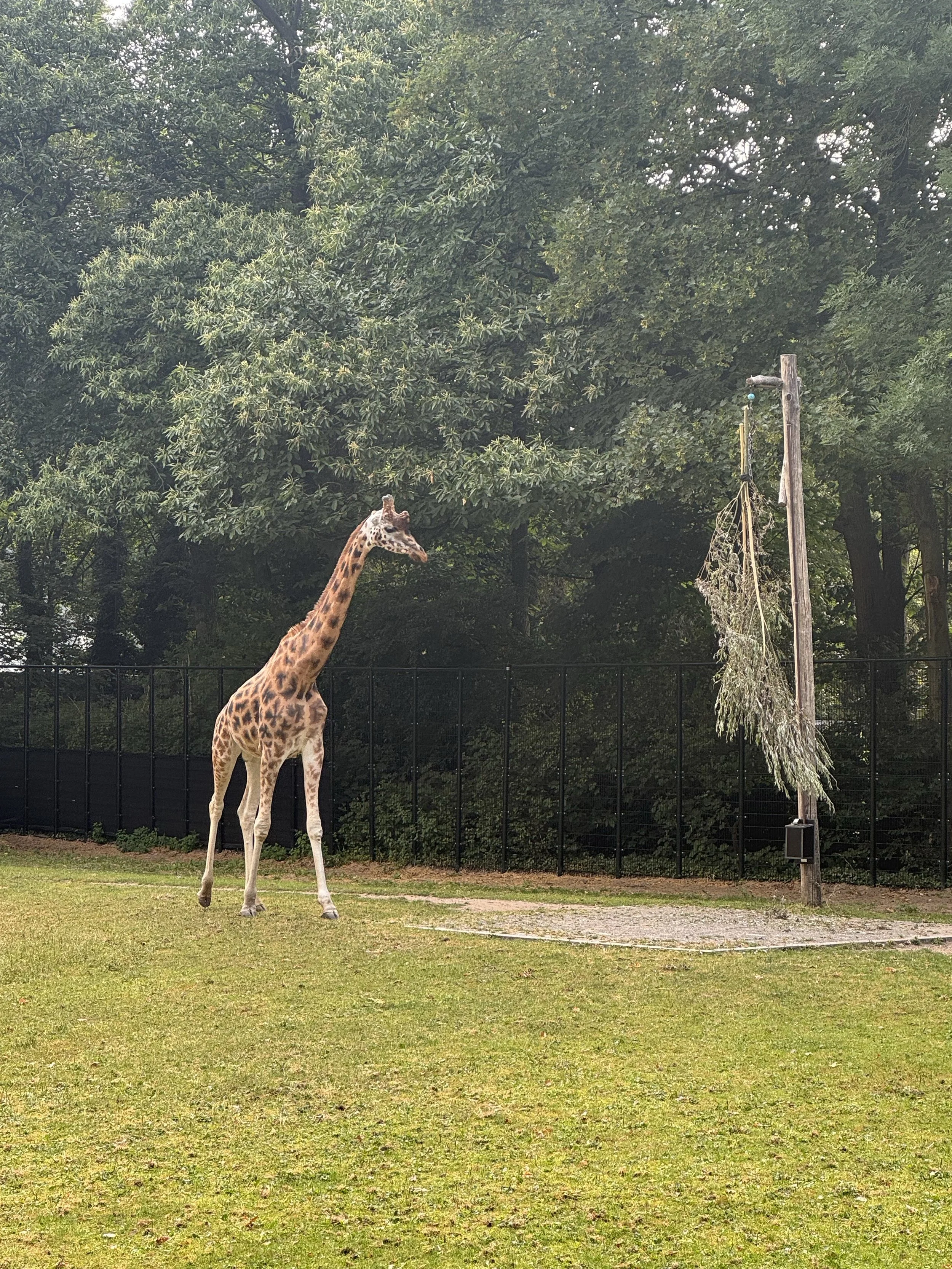 zoo3.jpg