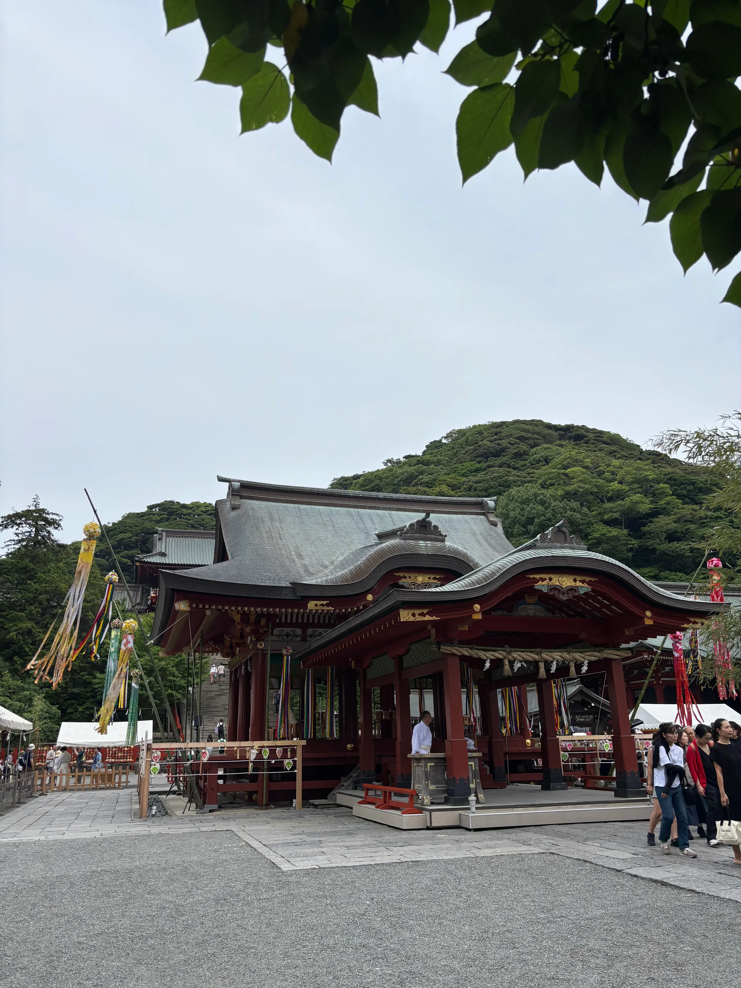 Tsurugaoka Hachiman-gu Shrine, Kamakura
