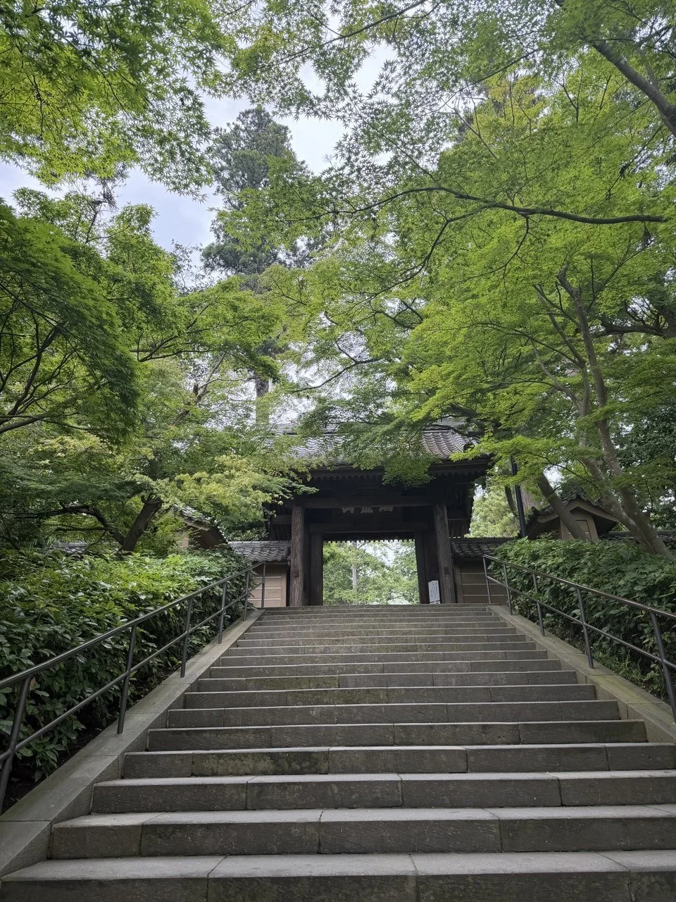 A peaceful moment in nature in Japan