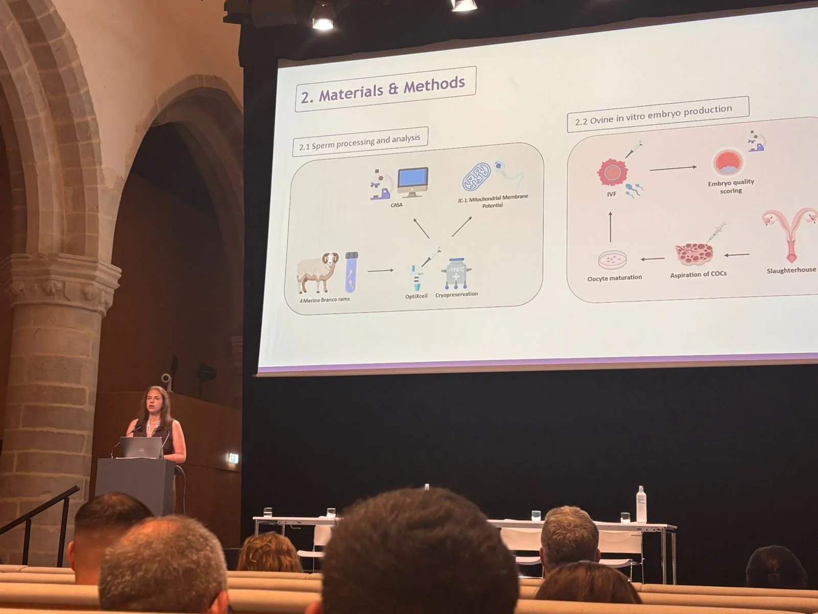 Paulina Pyrek and Linde Rombaut at the AETE Conference