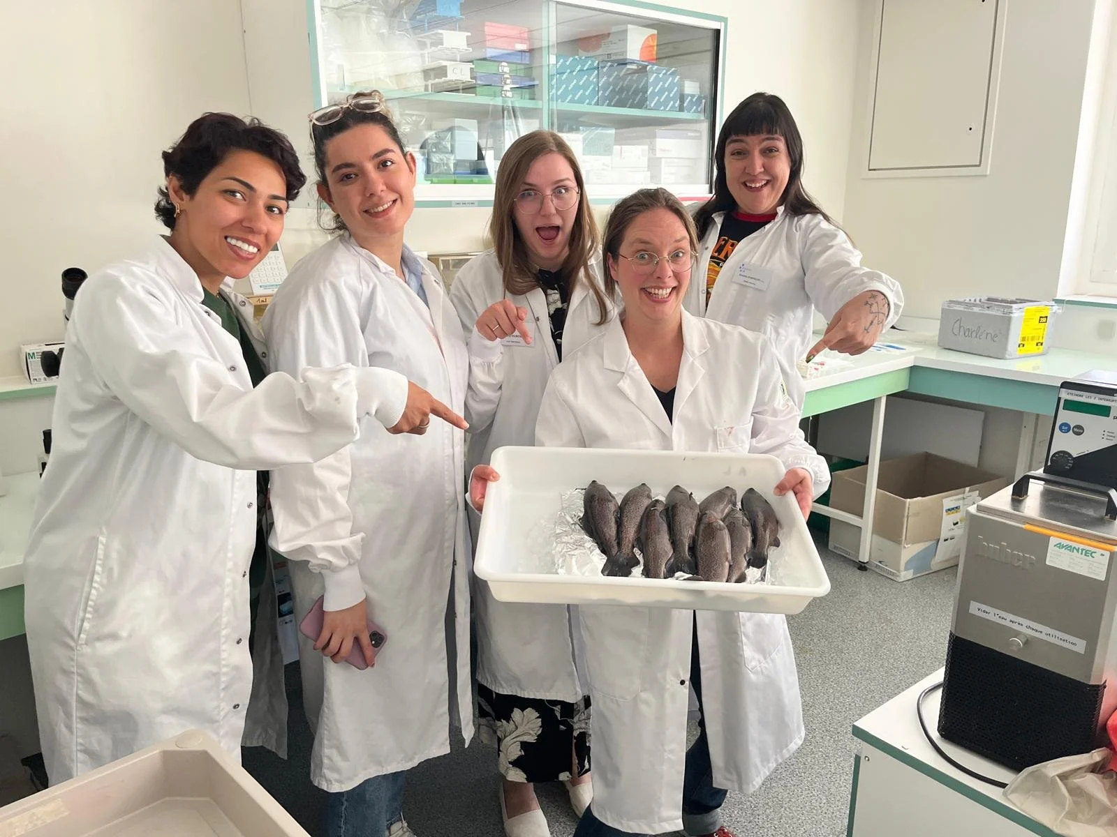 Part I - CryoStore Summer School