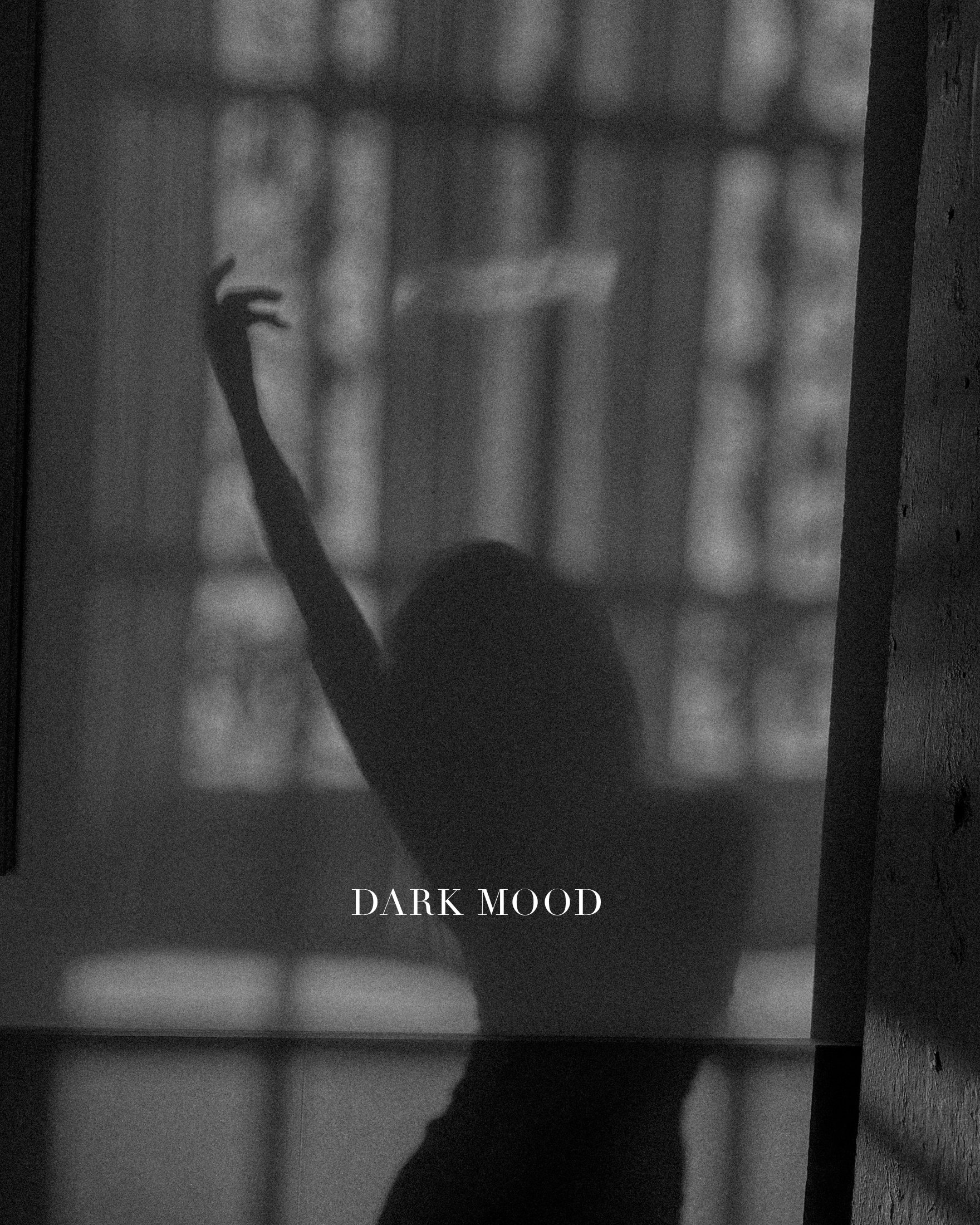 DarkMood.jpg