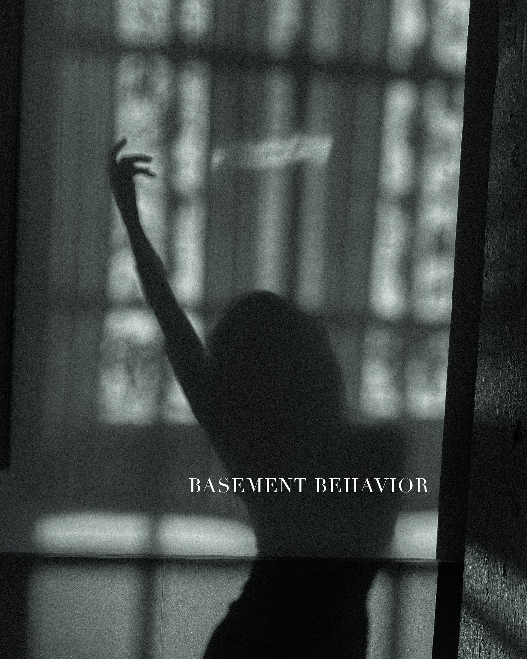 BasementBehavior.jpg