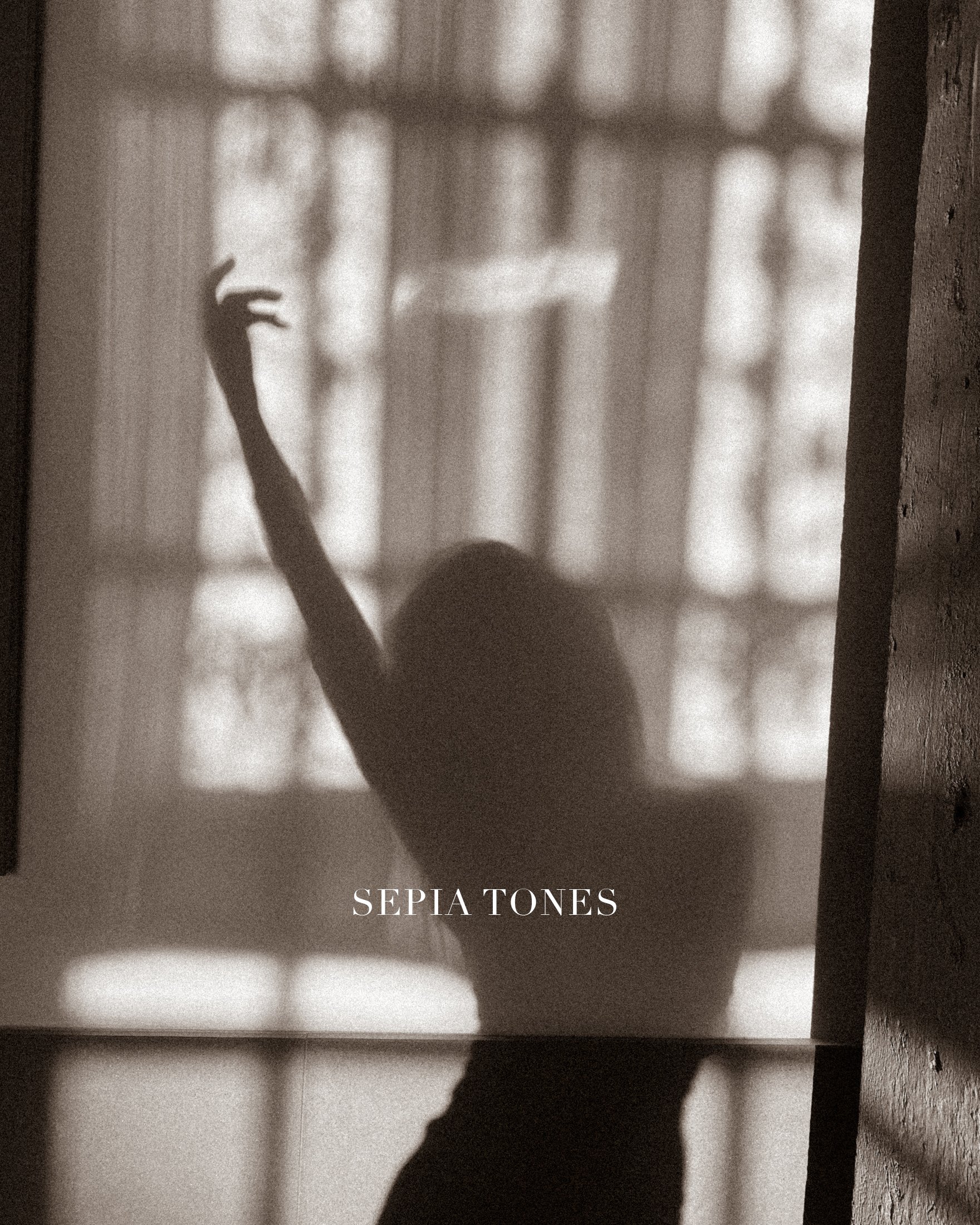 SepiaTones.jpg
