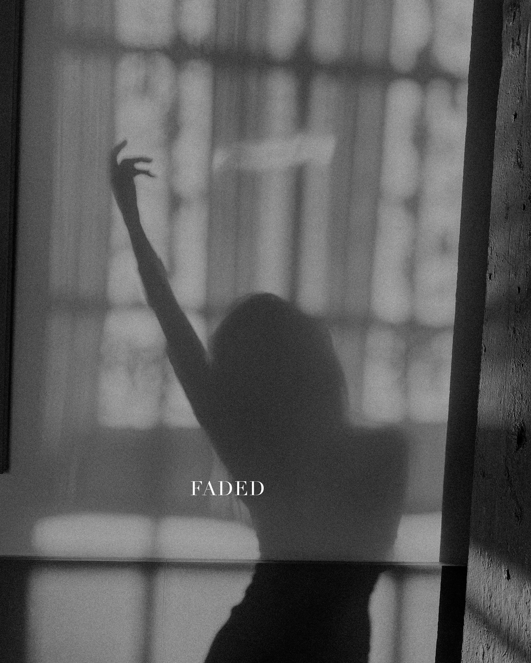 Faded.jpg