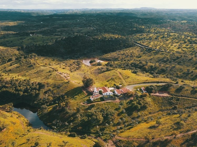 How To Die Happy Portugal Retreat Drone .jpeg