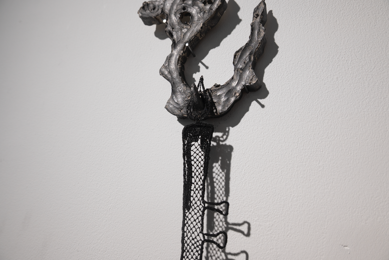 DSC_5866.png