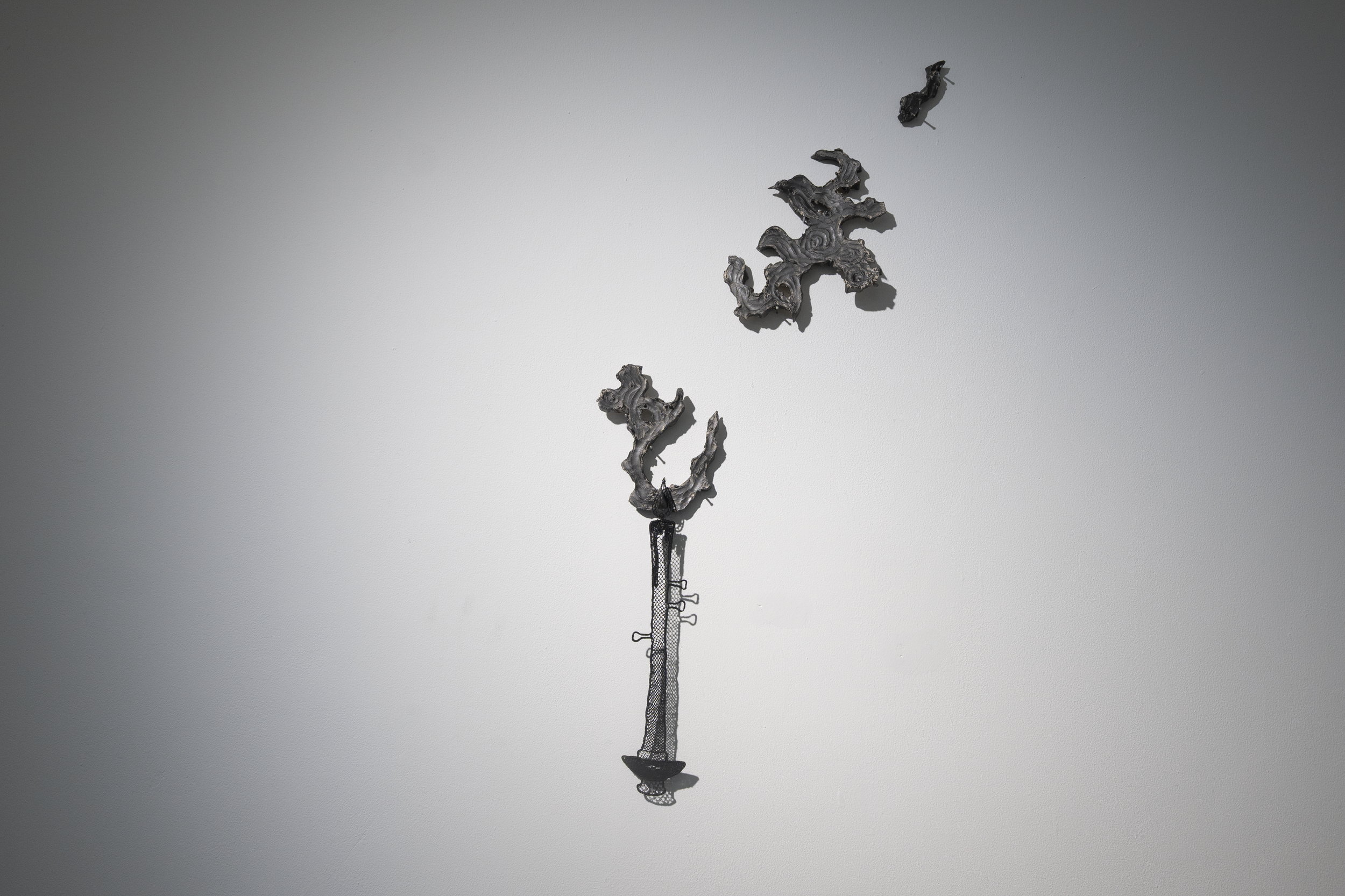DSC_5864.png