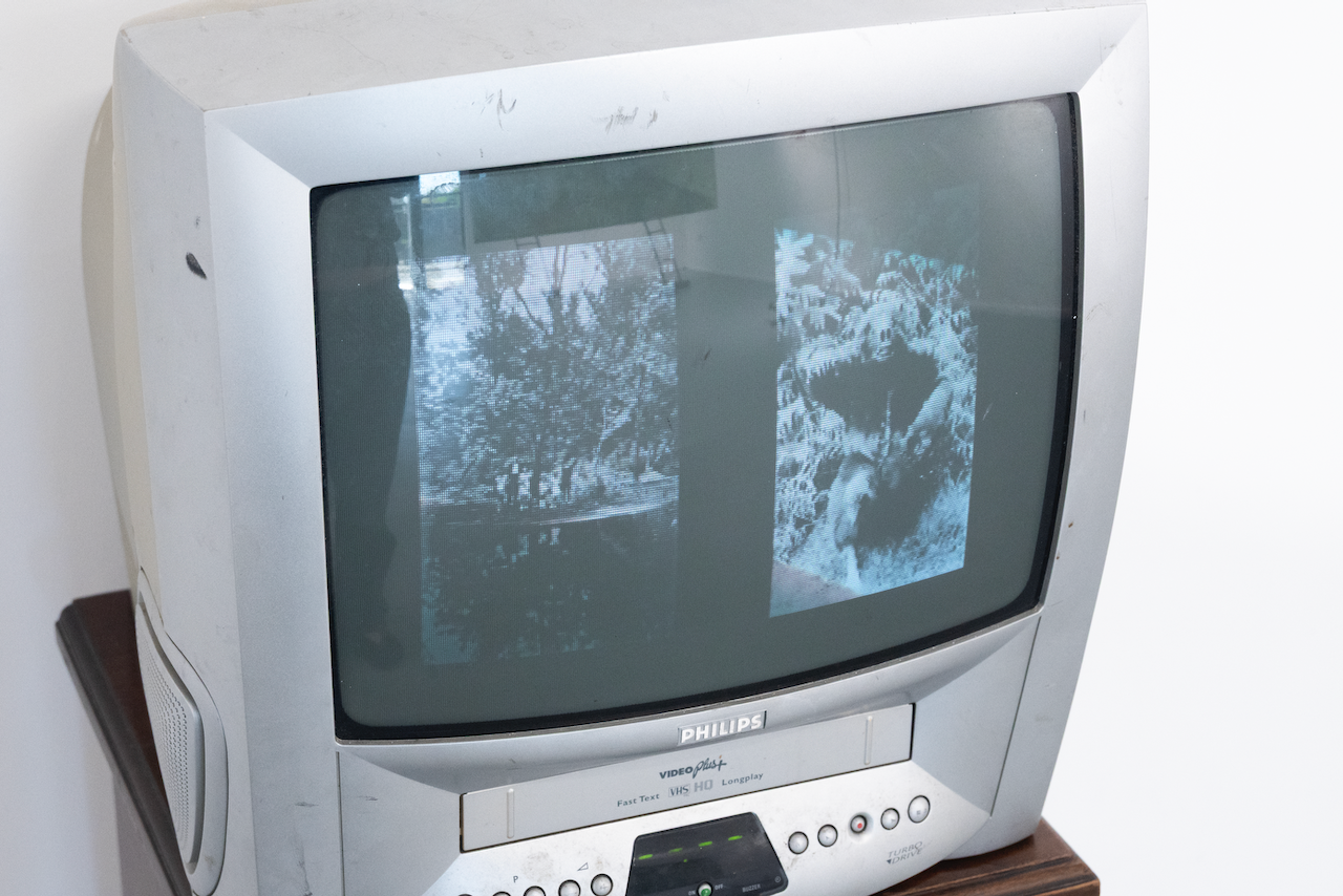 DSC_5967.png