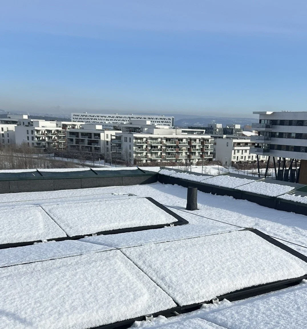 Snø himmel