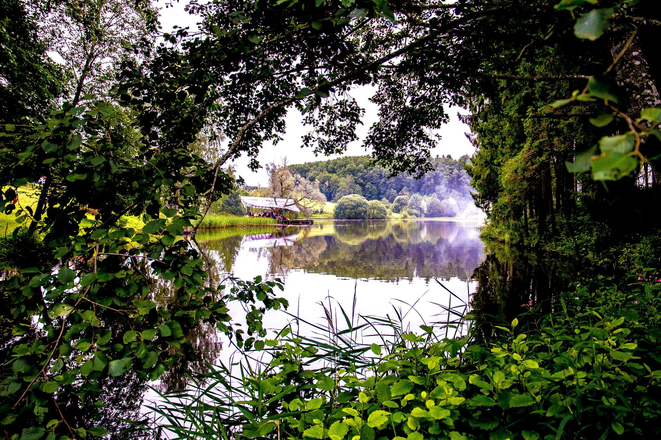 2016_2_Rain Ungert_18.jpg