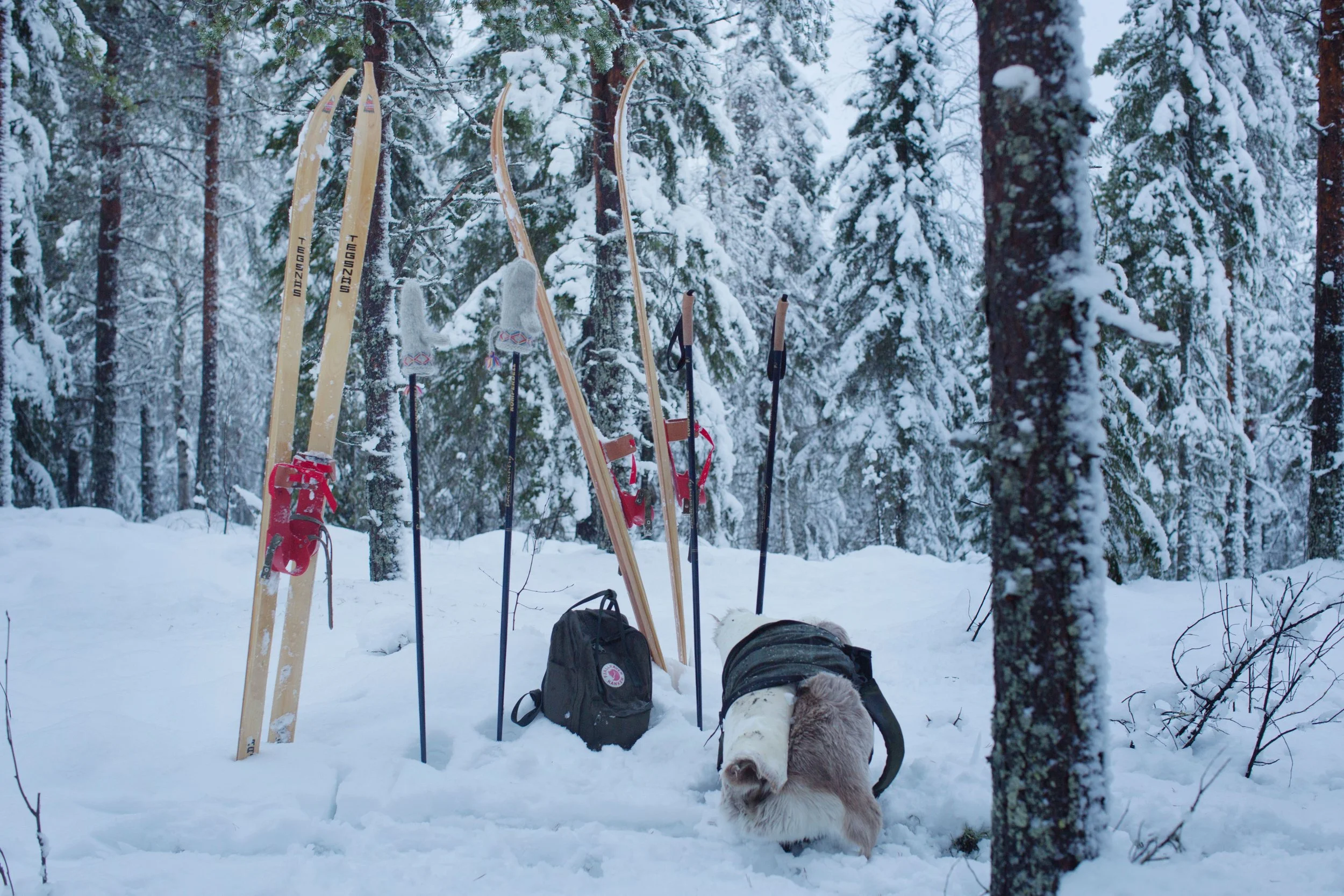 sara mac key aktivitet skidor vinter utflykt.jpeg