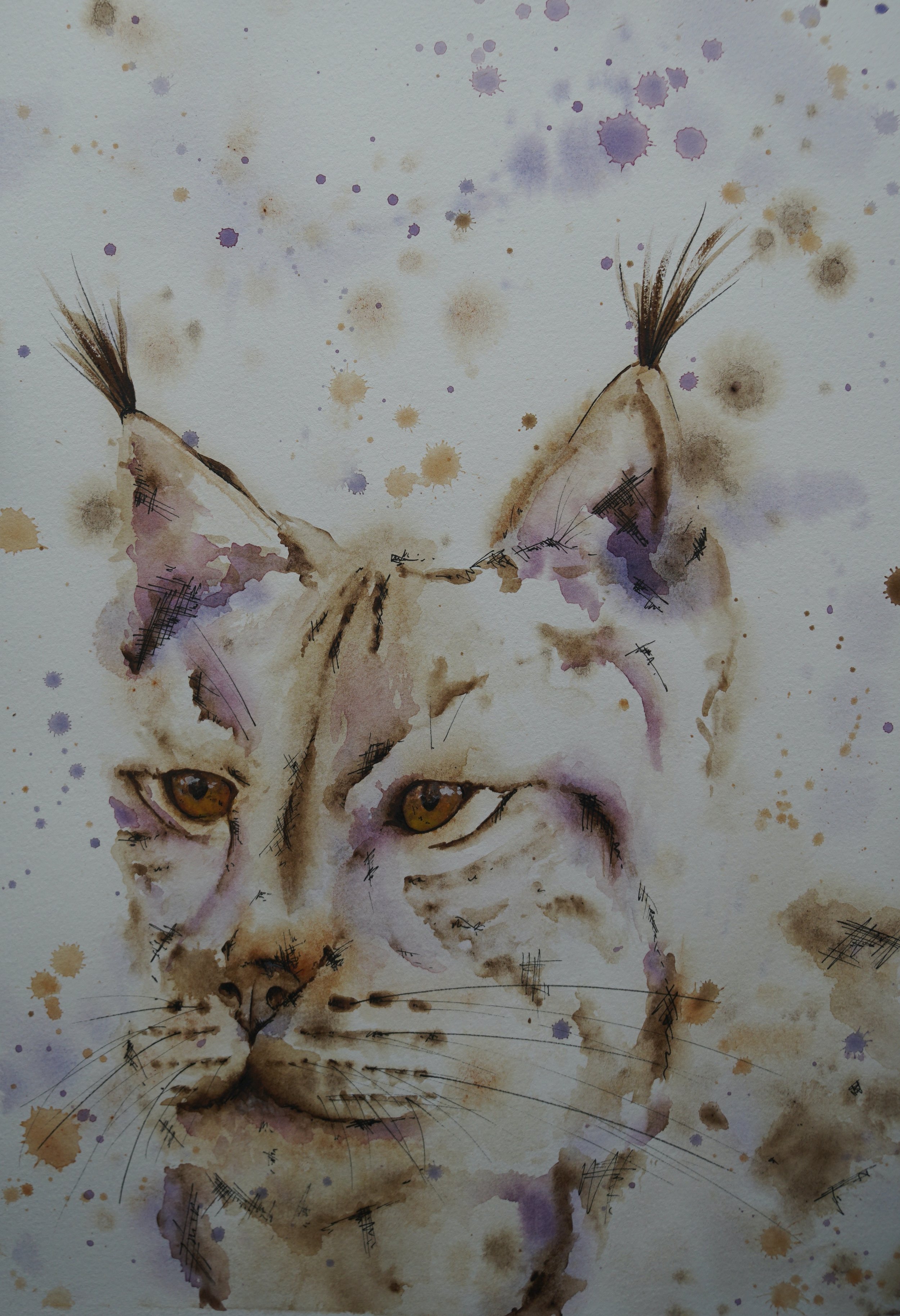 Eurasian lynx (commission)