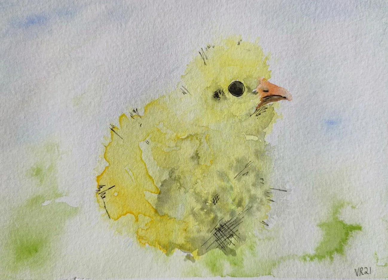 Newborn chick