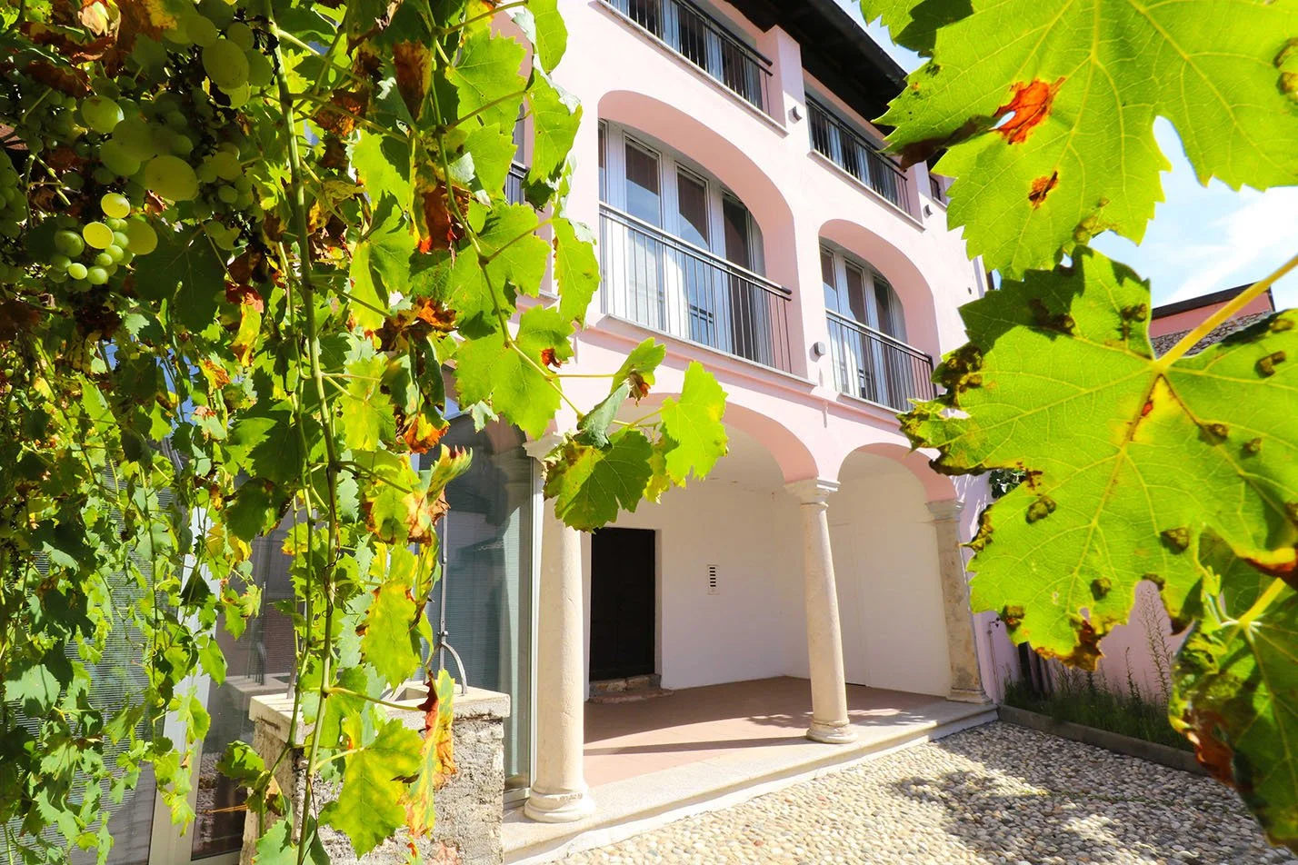 A pink building with arched veranda supported by columns, surrounded by grapevine leaves and vineyard, under a sunny sky.