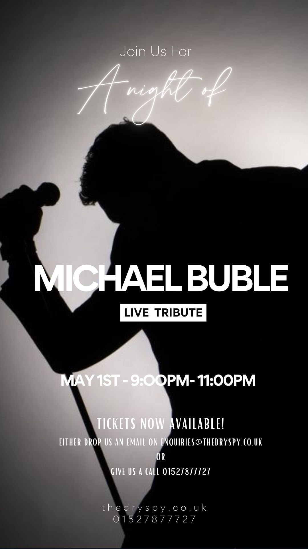 Michael Buble Live Tribute