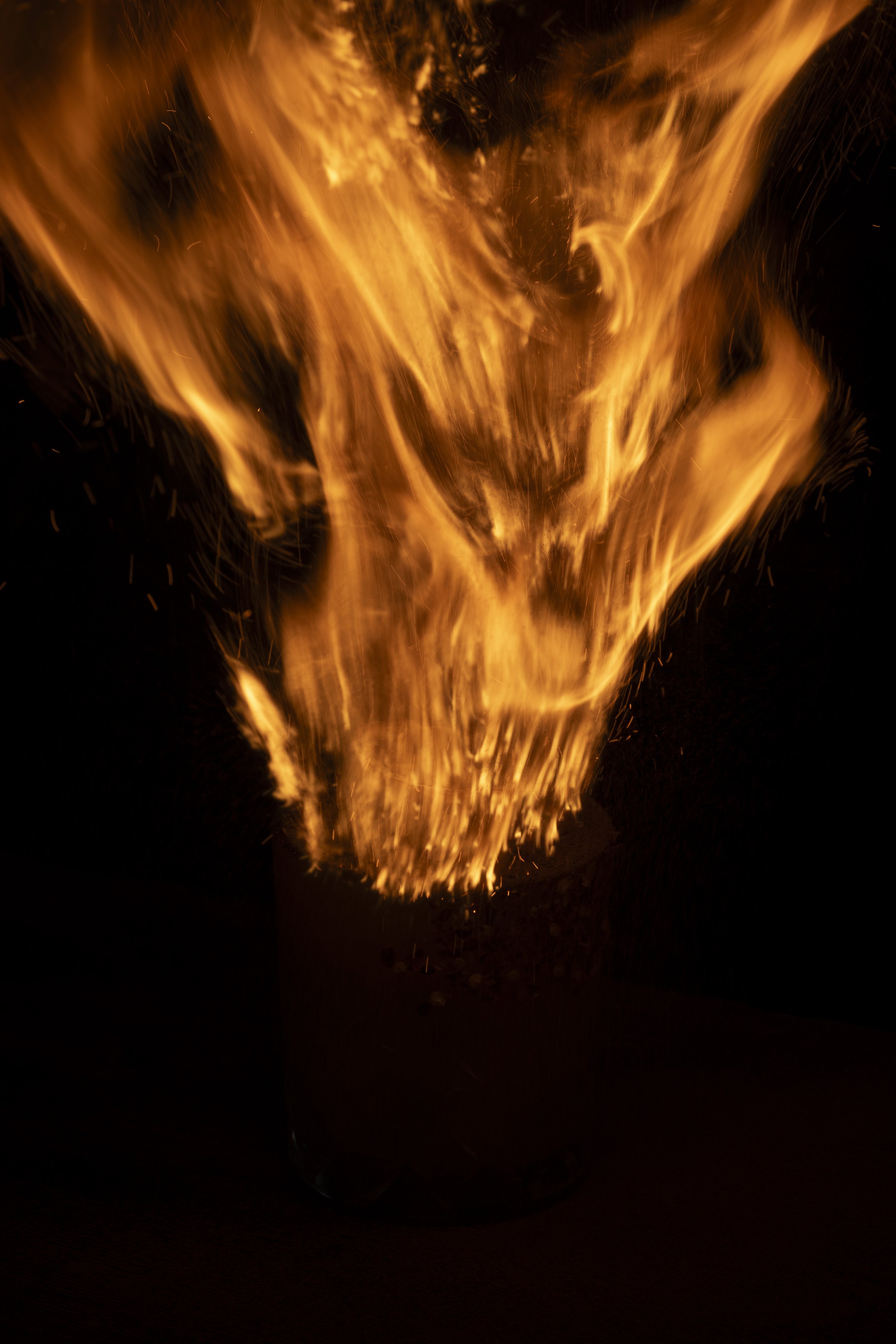 Firey mango 23_e.jpg