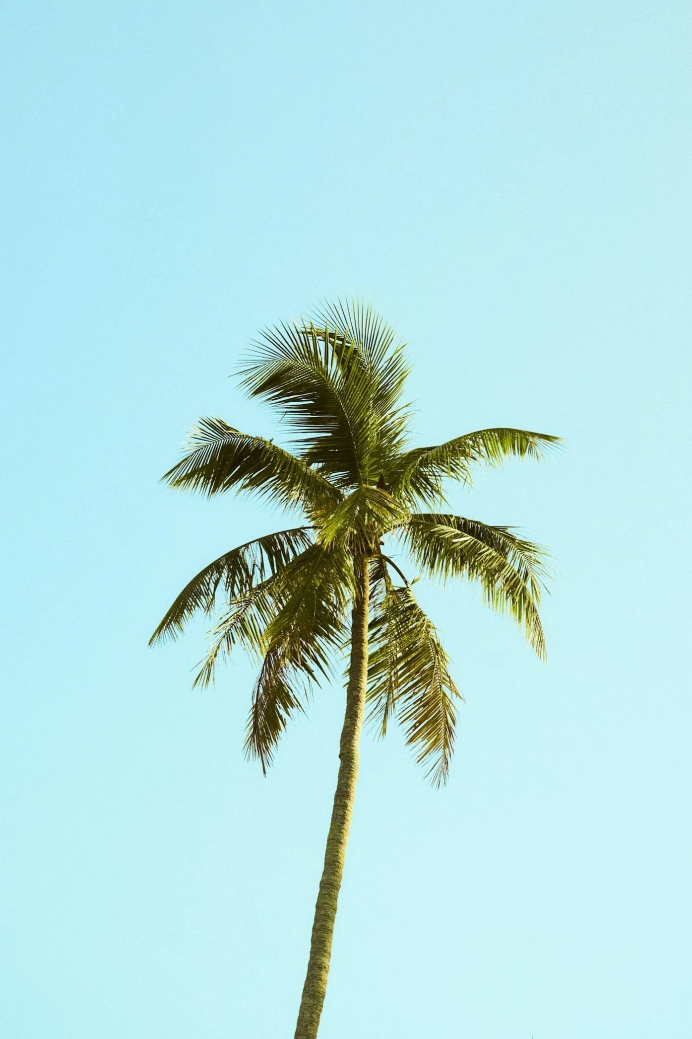 Whether you're in Miami, Tampa, Orlando, Jacksonville, or a smaller Florida community, integrative psychiatry can offer a new path toward wellness.