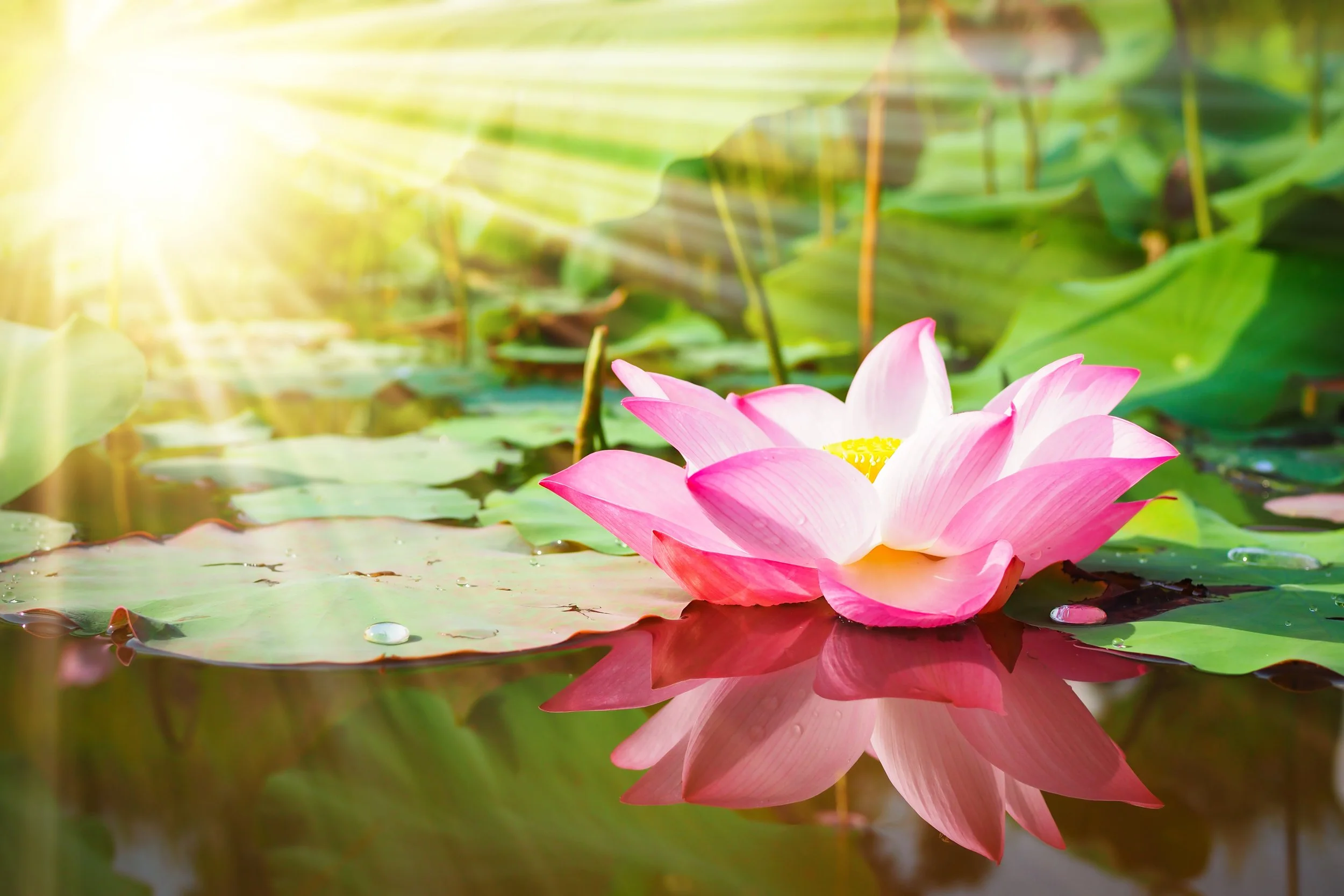 The Path to Self-Love