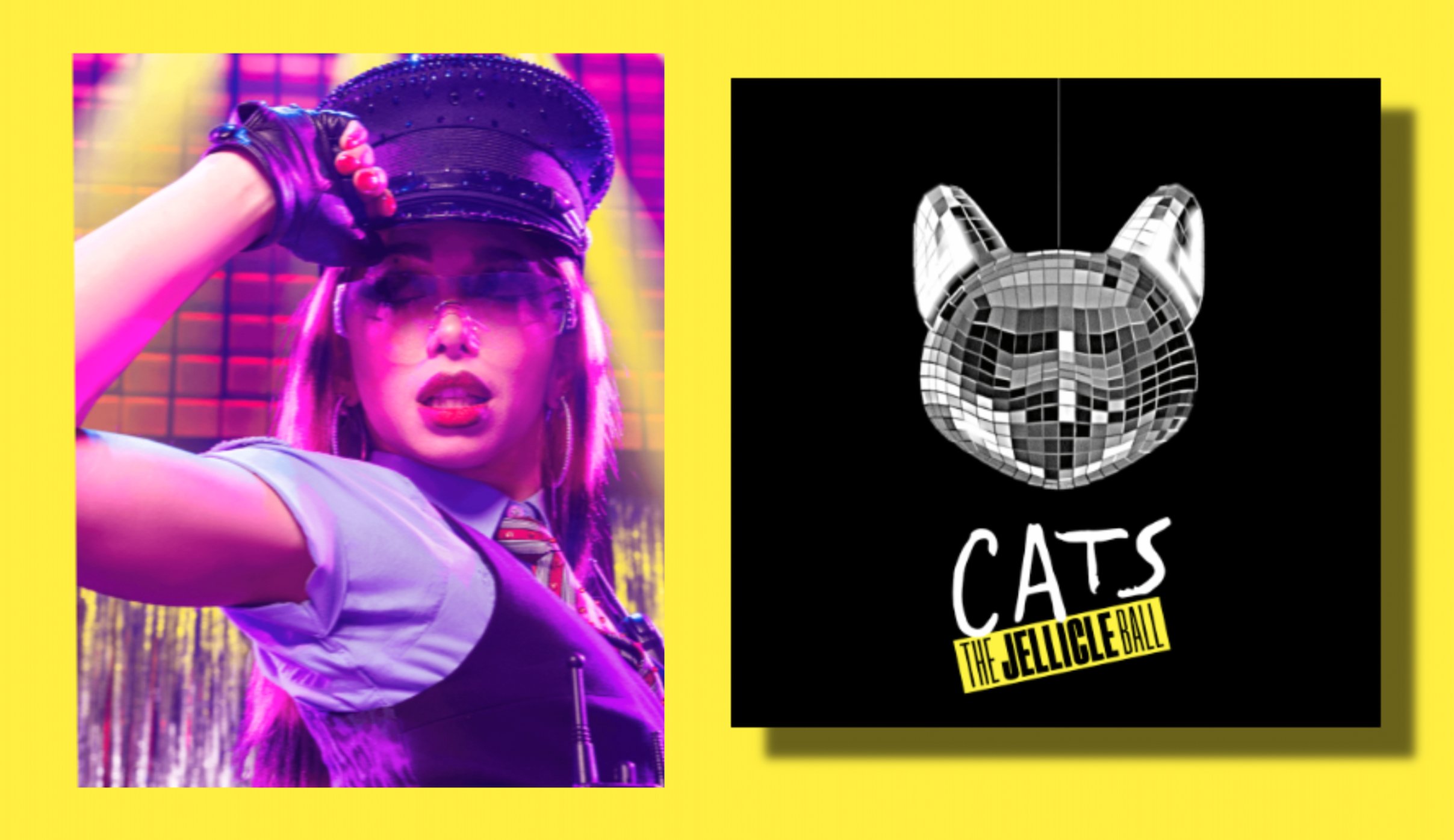 cats cover.png