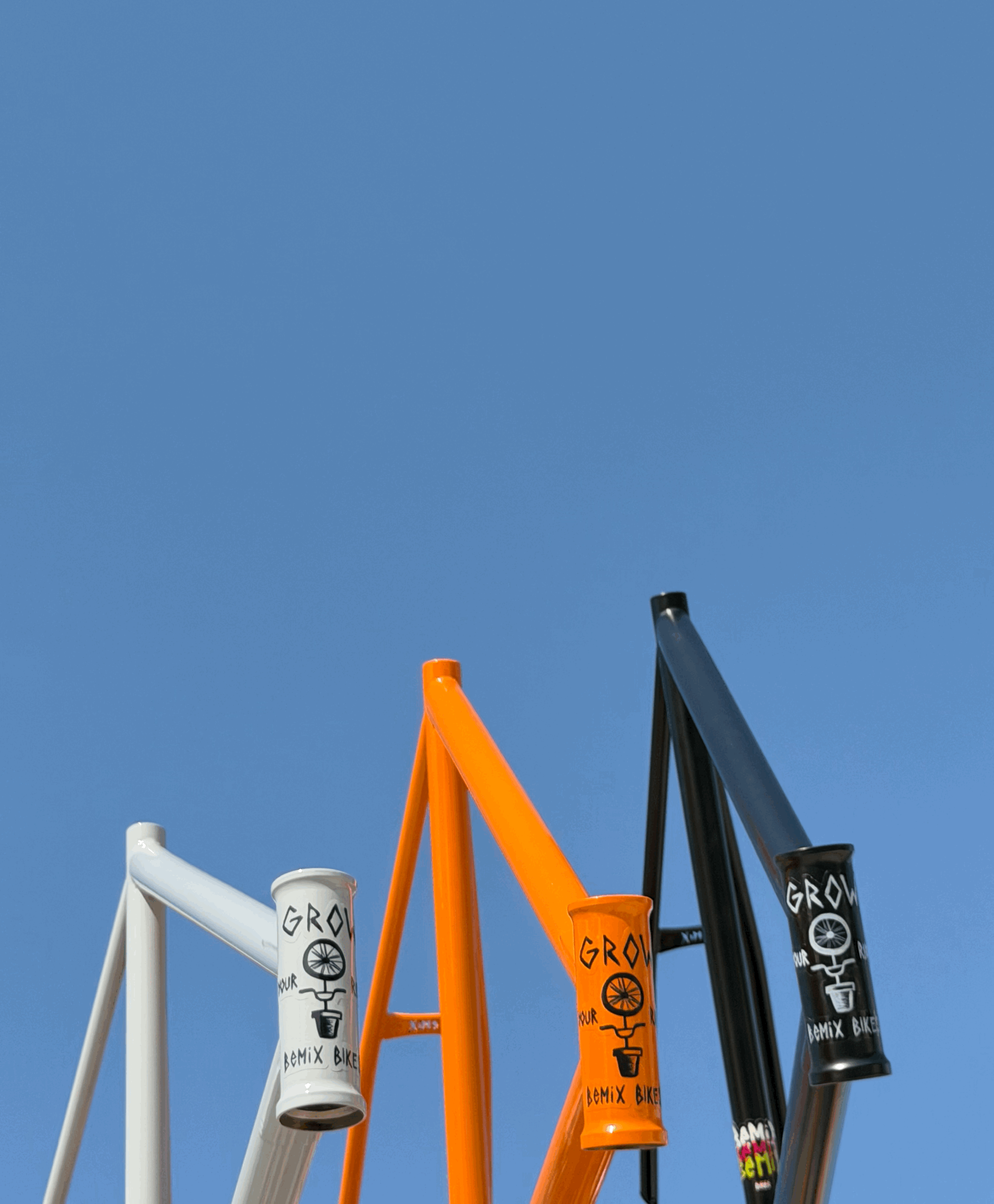 GROW YOUR RIDE Edition (Frames)