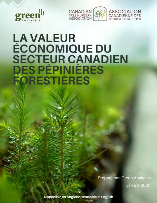 Rapport d'analyse économique du secteur des pépinières Forestières