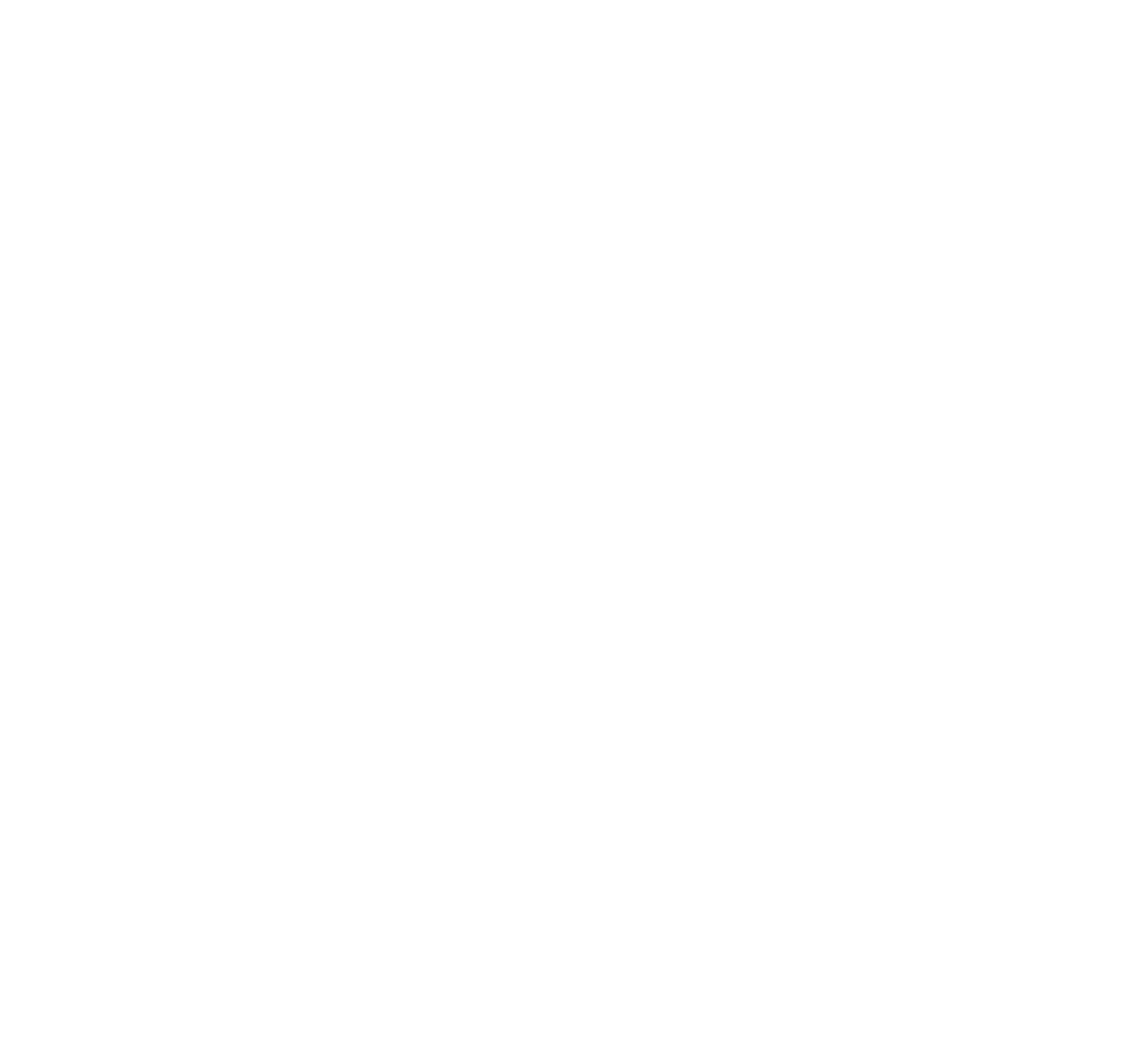 Hudson Festival Orchestra