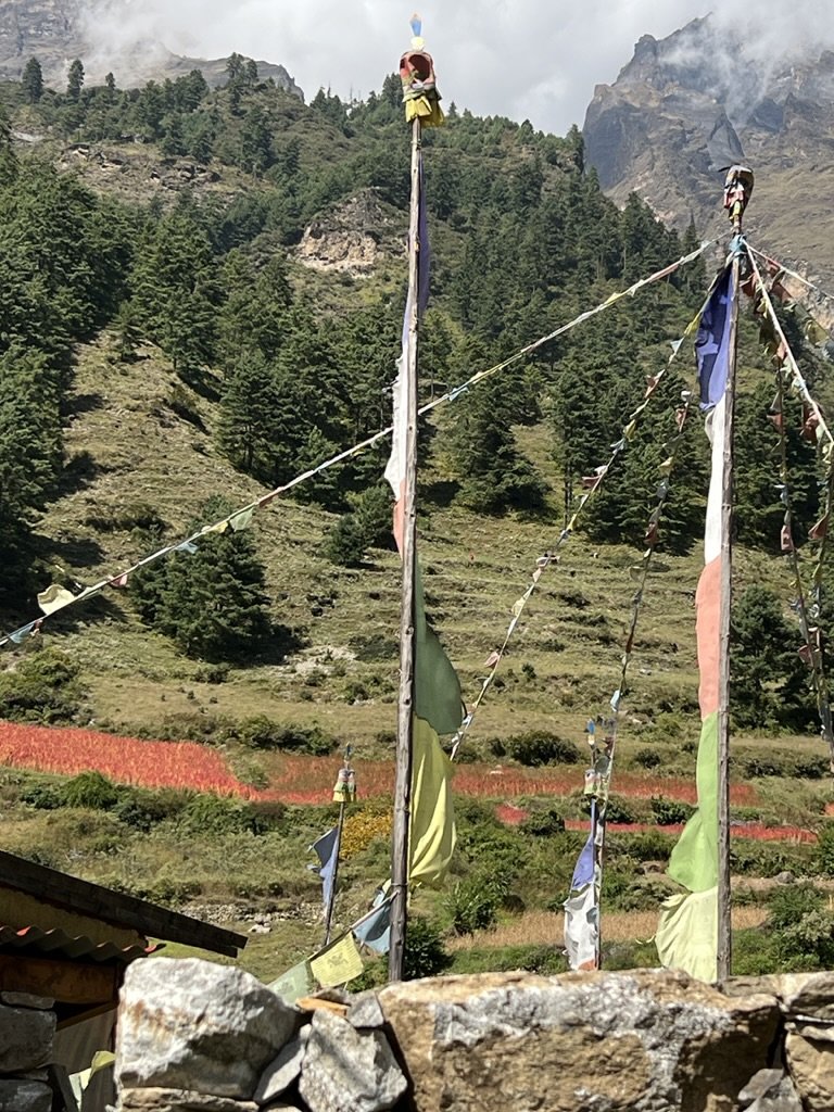 B46181D5-8A37-4E67-9191-28490E637F22_1_105_c.jpeg