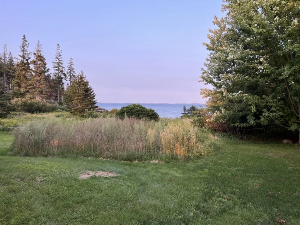 Journal Entry 9.4.23