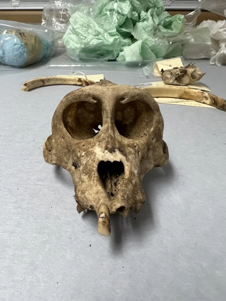 Journal Entry 9.6.23