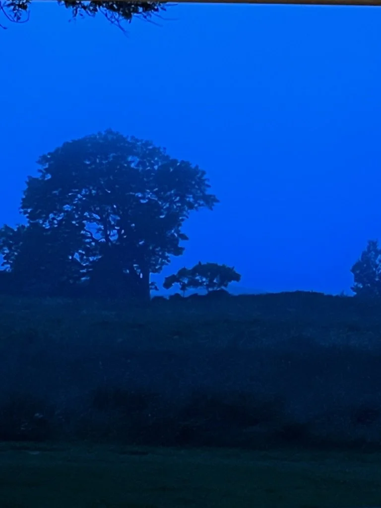 Journal Entry 9.10.23