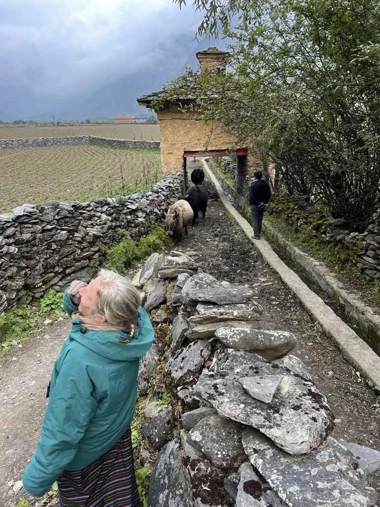 Journal Entry 10.11.23